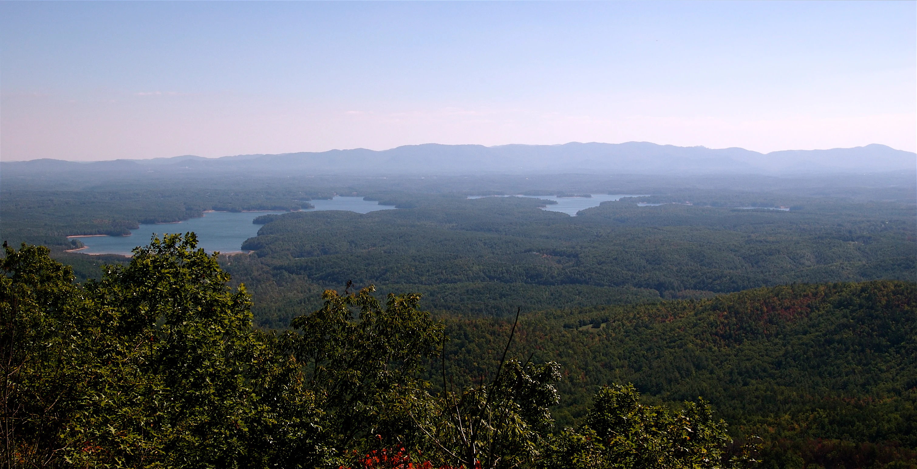 A high angle panoramic view looking over a vast, dense green forest canopy towards a hazy mountain range in the distance, with patches of a bright blue lake visible in the mid-ground.