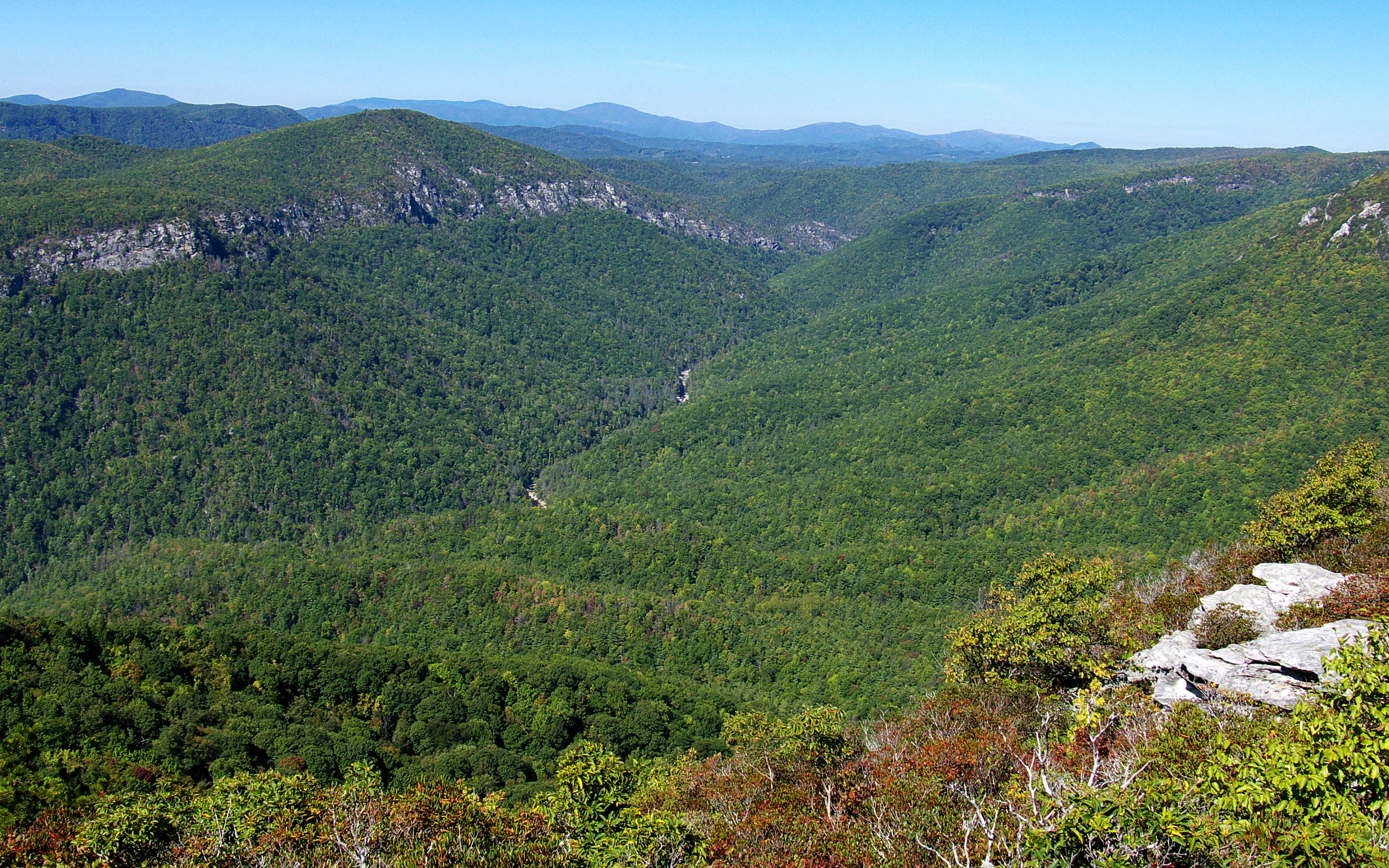 A wide, elevated landscape view of a deep, forested river gorge on a clear, sunny day, with rocky cliff edges in the foreground and blue mountains in the far distance.