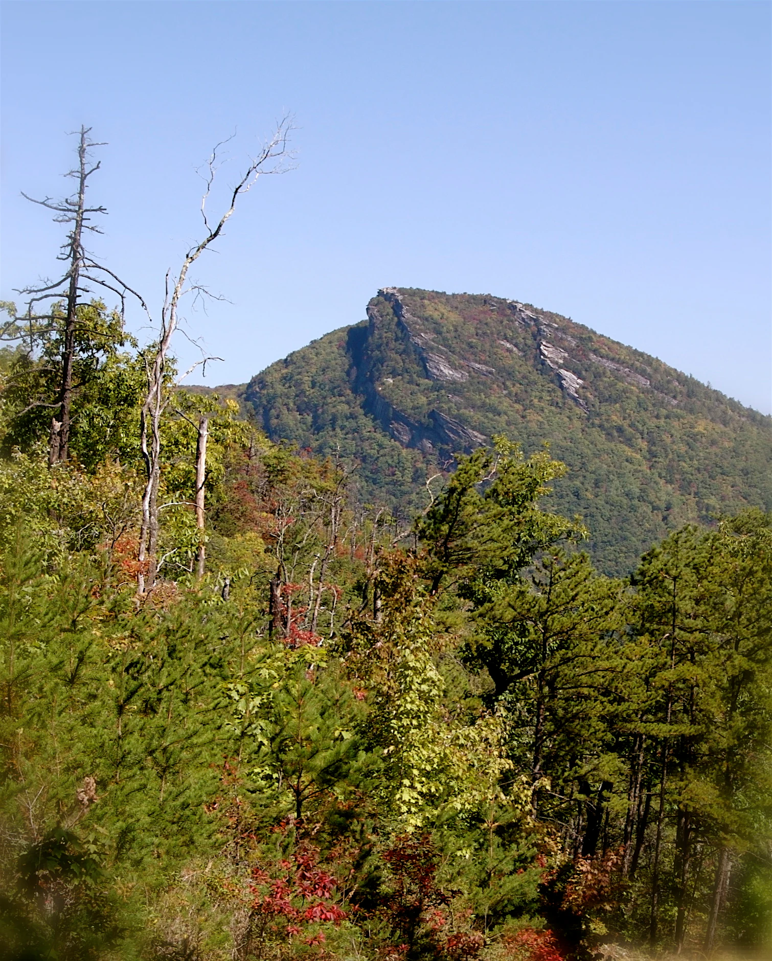 A daytime view of a large, green-covered mountain with a prominent, rocky cliff face reaching toward a clear blue sky, viewed from a nearby wooded ridge.