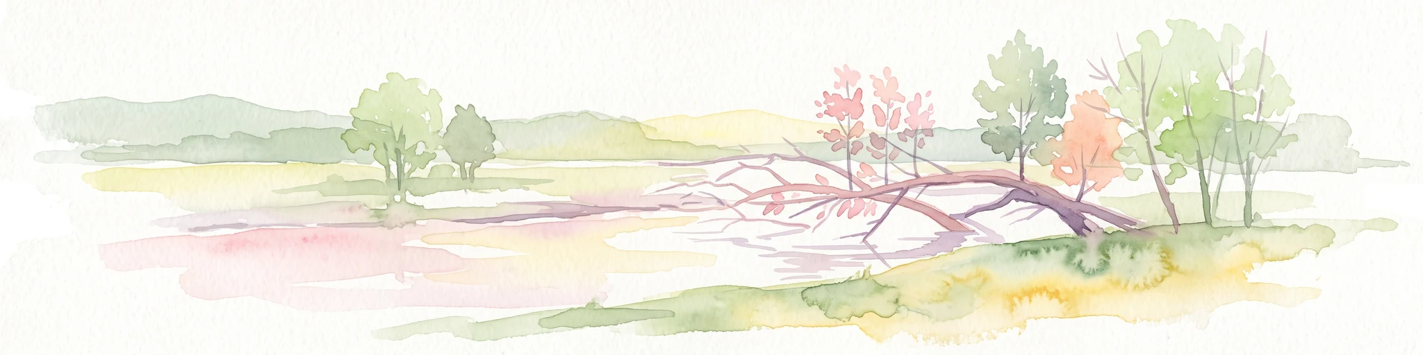 A soft watercolor illustration showing a calm, light-toned landscape with a river, a fallen tree reaching into the water, and sparse trees against a backdrop of gentle hills.