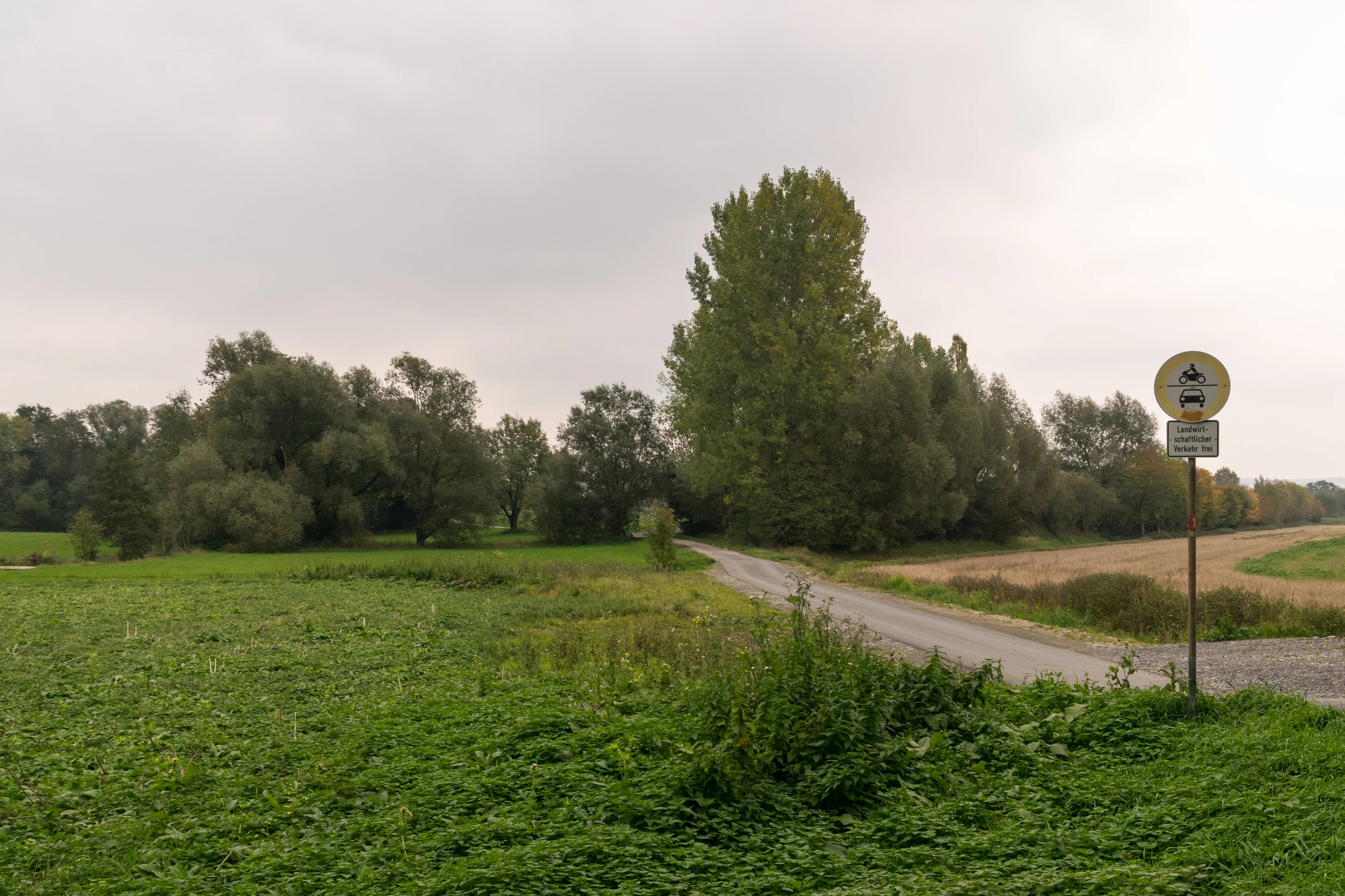 A narrow paved road winds through a flat, green landscape with trees and fields under an overcast sky, with a traffic sign indicating a restricted access zone.