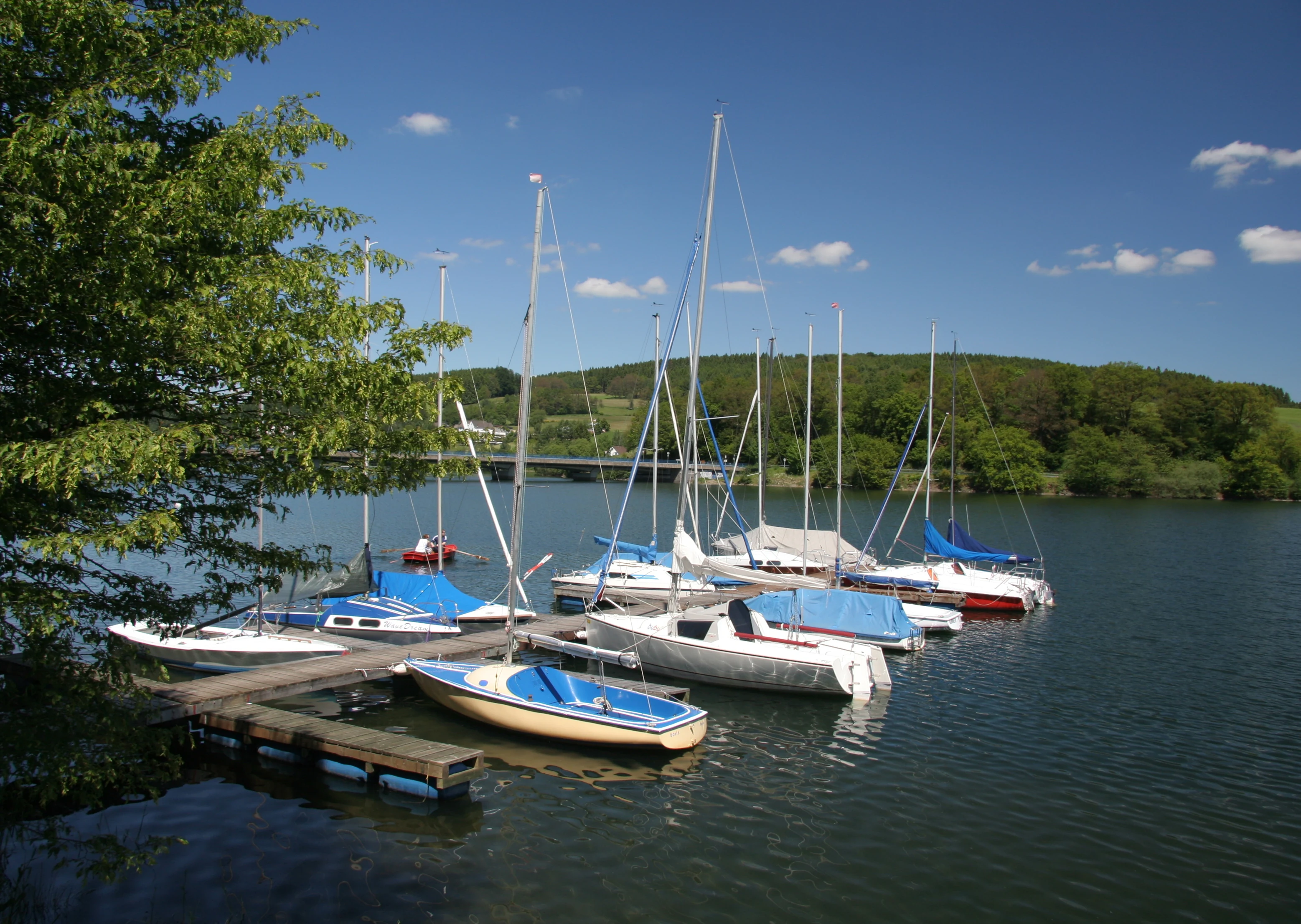 A group of small sailboats moored to a wooden dock on a calm lake, with green, forested hills in the background under a blue sky.