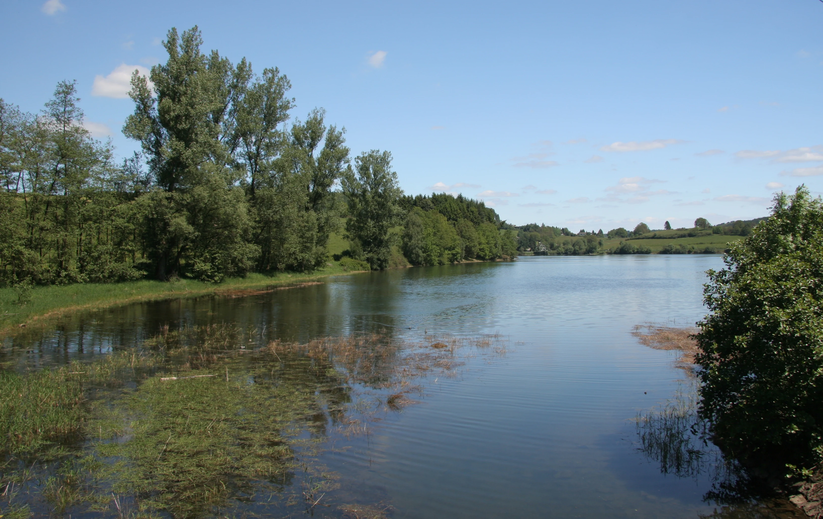 A wide view of the Listertalsperre reservoir with a calm water surface and trees lining the banks.