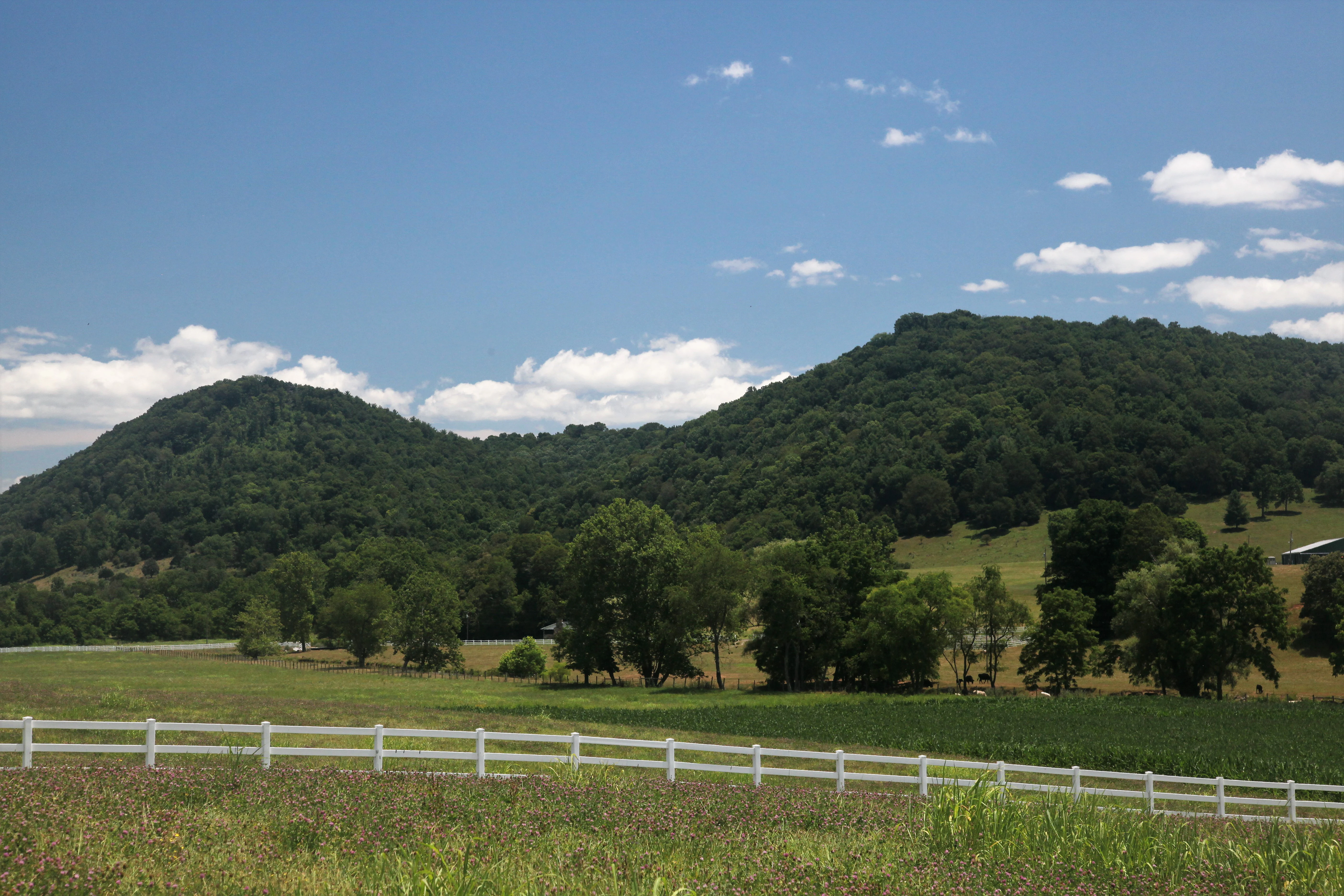 A wide outdoor shot of rolling, forest-covered mountains under a blue sky with white clouds, with a white rail fence in the foreground and a grassy field.
