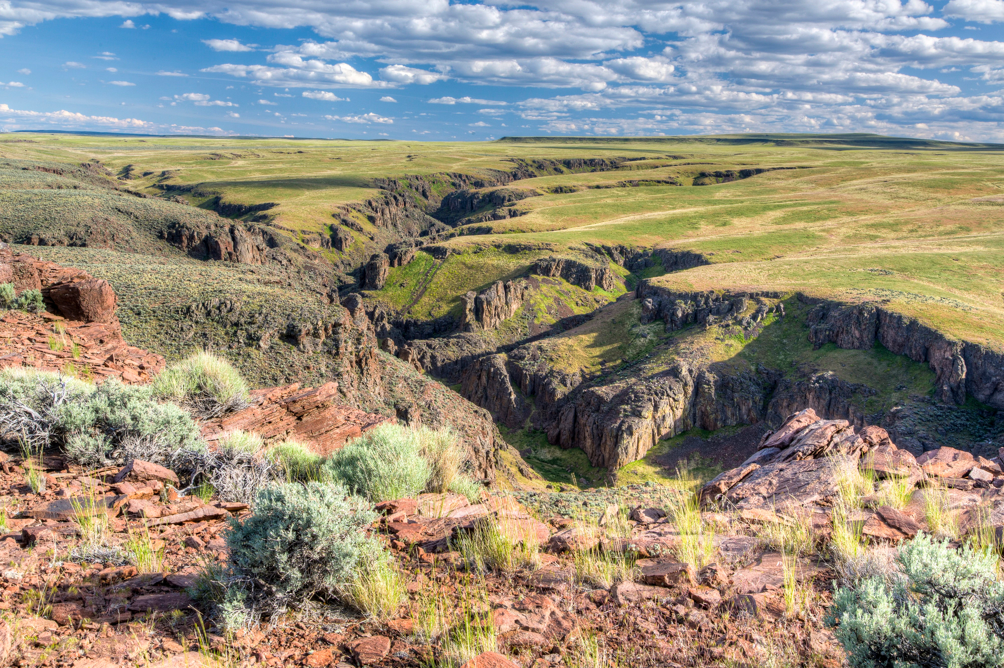 A wide, eye-level landscape photograph looking down into a deep, steep-sided basalt canyon carved into a dry, grassy, shrub-dotted plateau under a bright blue sky with scattered clouds.