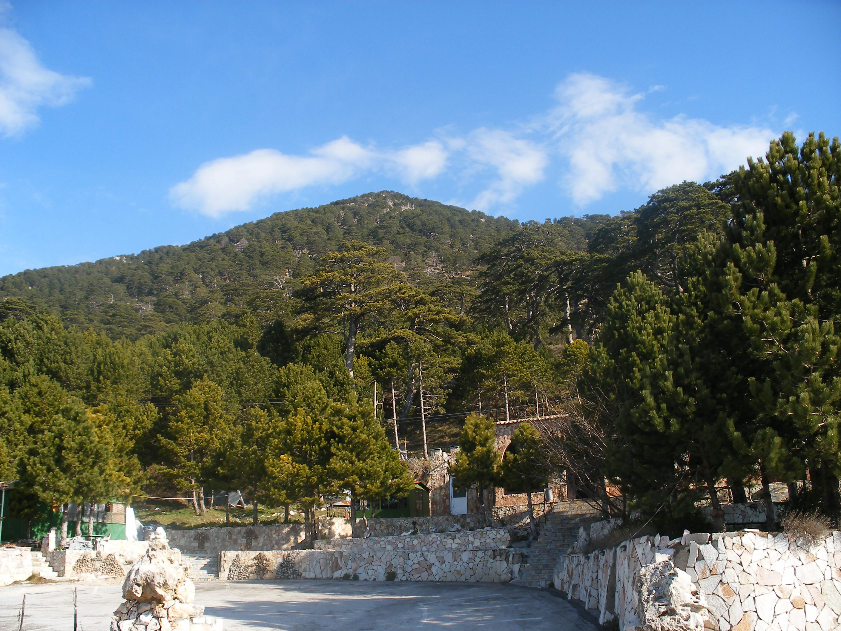Mountain pass with dense forest, stone walls, and clear blue sky