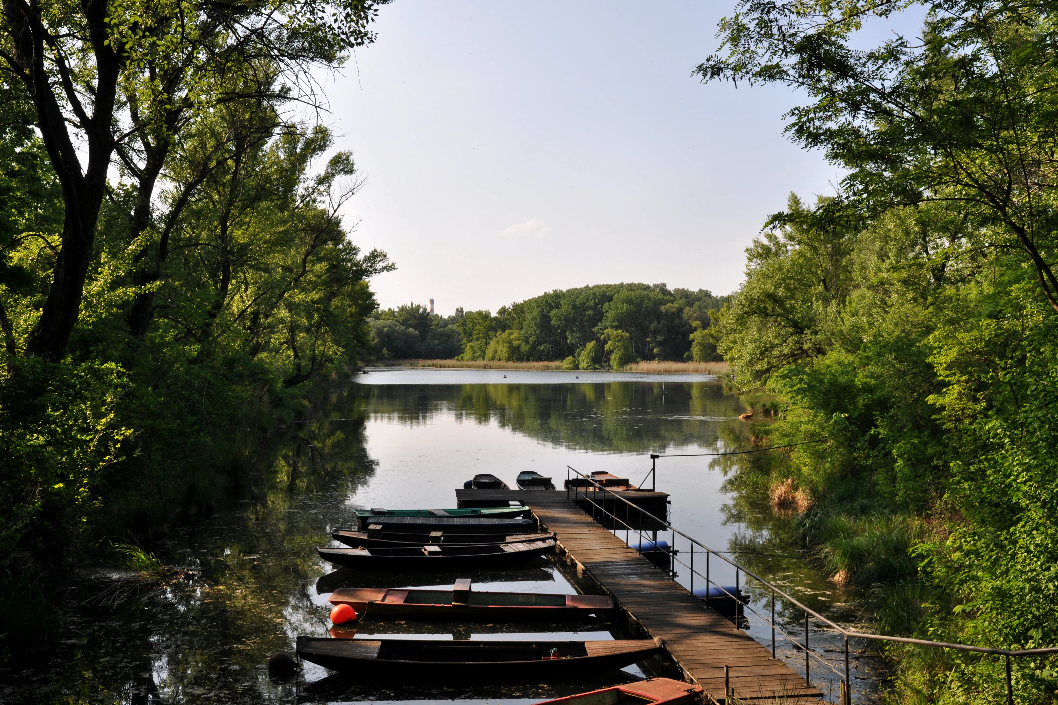 A wooden pier extends into a calm lake lined with dense trees, with several small flat-bottomed boats moored alongside.