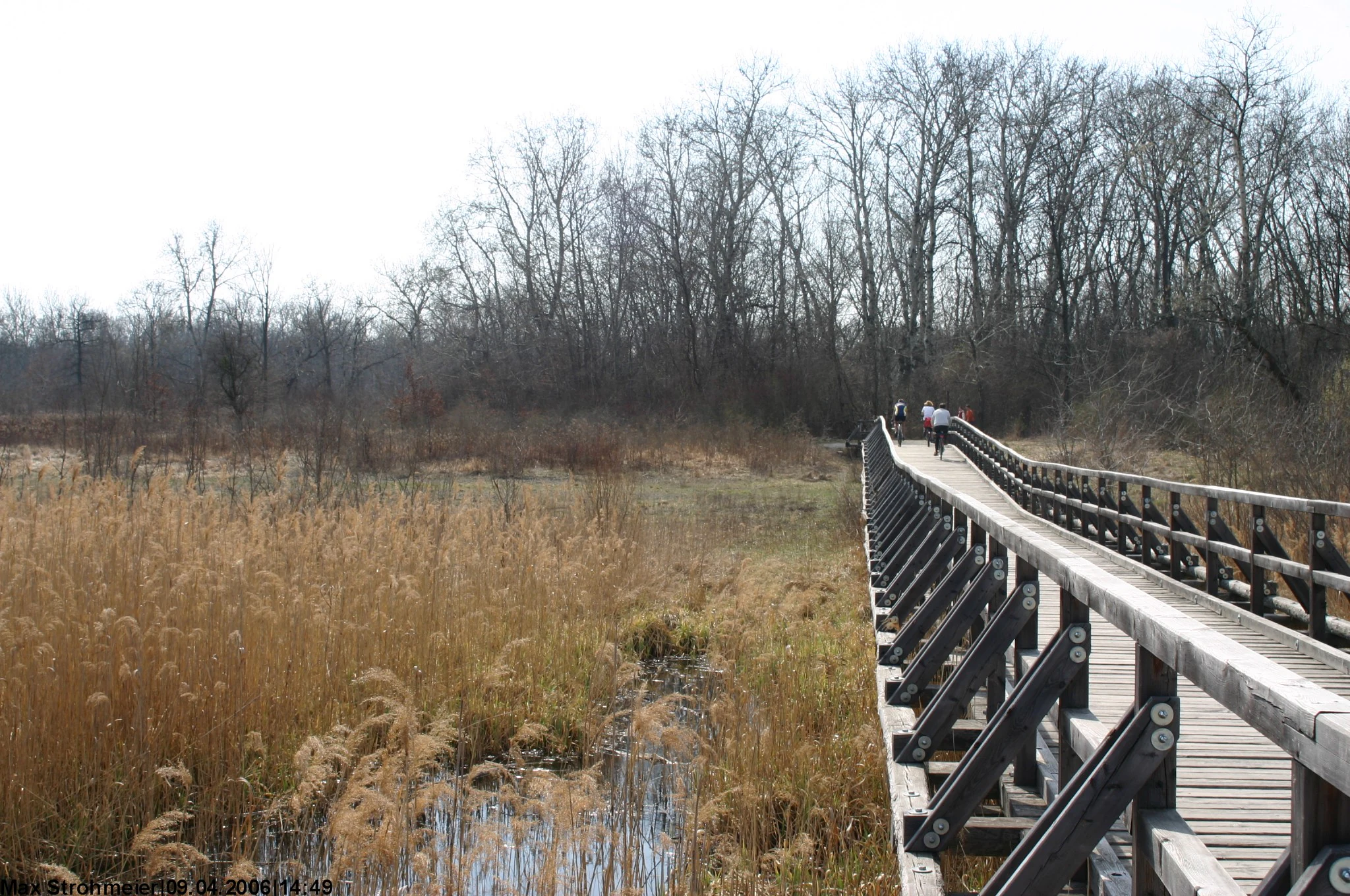 Josefssteg in the Lobau