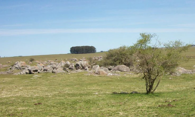 A wide, outdoor landscape view showing a field with a cluster of grey, rounded granite rocks, scattered small trees, and a distant grove of dark trees under a clear blue sky.
