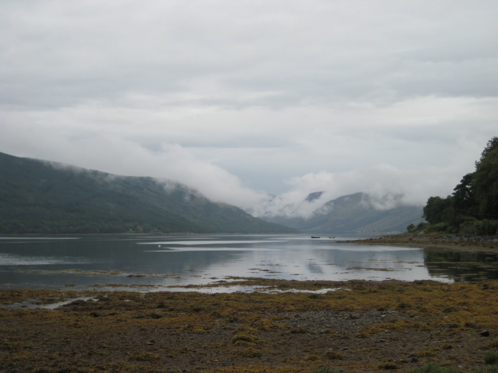 Loch Fyne view