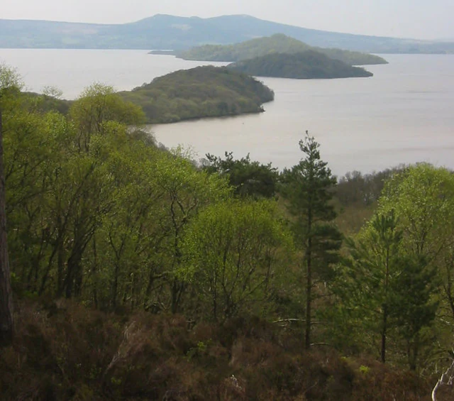A wide, elevated view of Loch Lomond in Scotland featuring several small, forested islands dotting the water, with a lush green forest in the foreground.