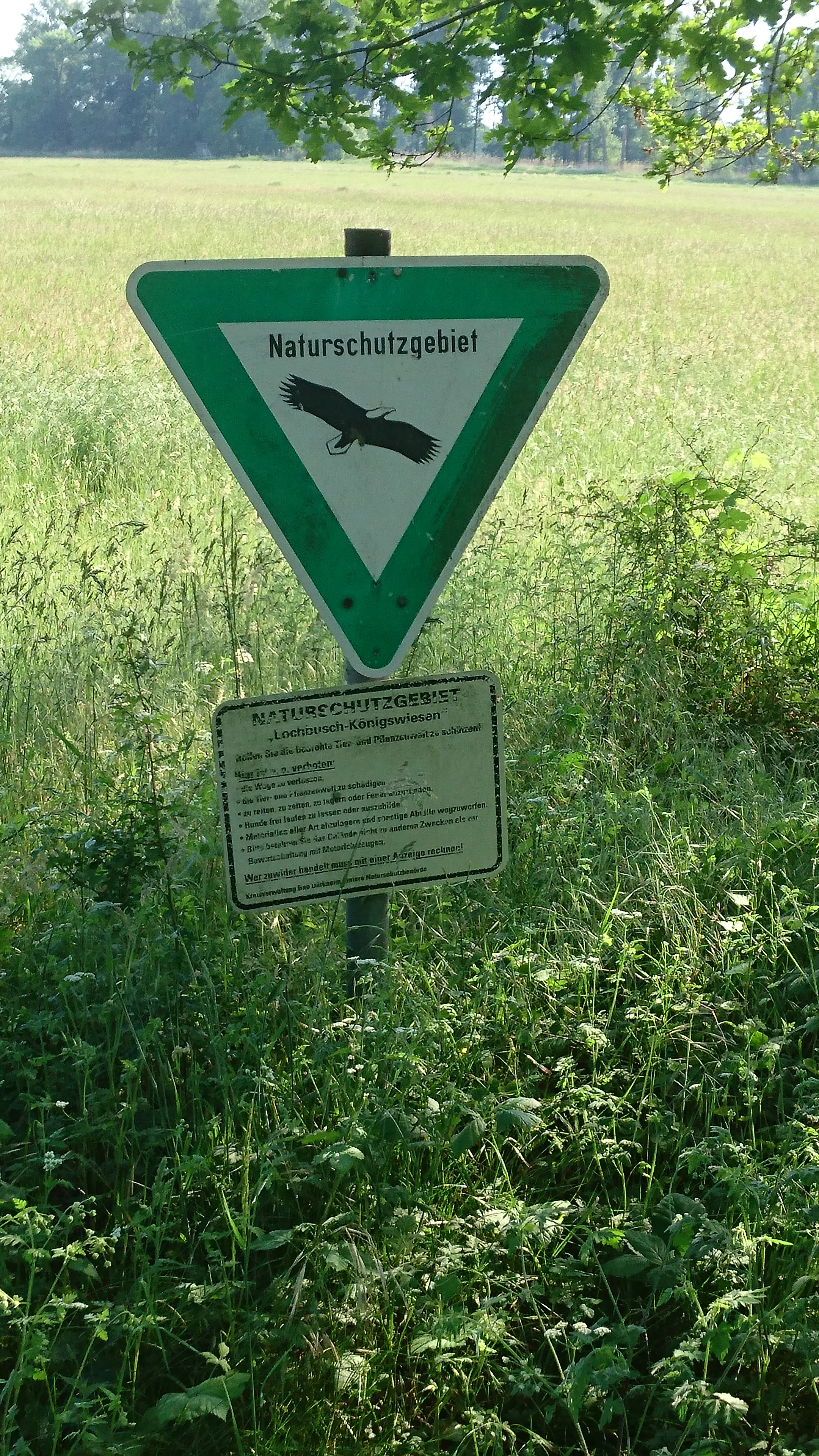 A triangular green and white nature reserve sign, depicting an eagle in flight, mounted above a rectangular information board on a metal post in a grassy field.