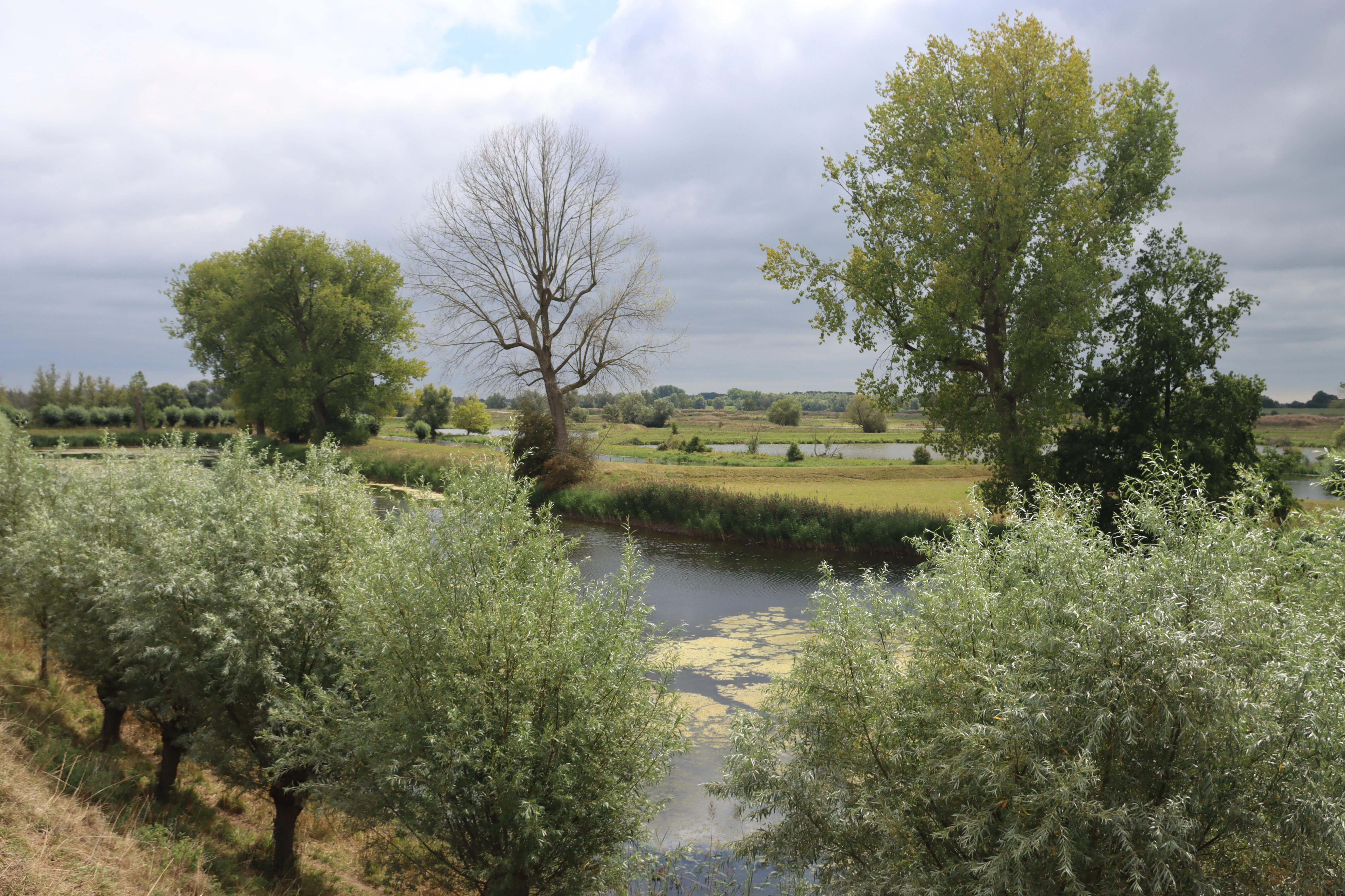 A peaceful landscape view over a small river or ditch with trees and shrubs along the banks under a cloudy sky.