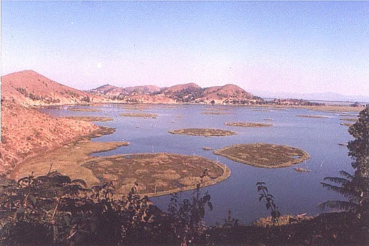 A high angle shot looking over a large, calm lake with numerous circular patches of floating vegetation, or phumdis, dotted across the water, set against a backdrop of rolling hills under a clear sky.