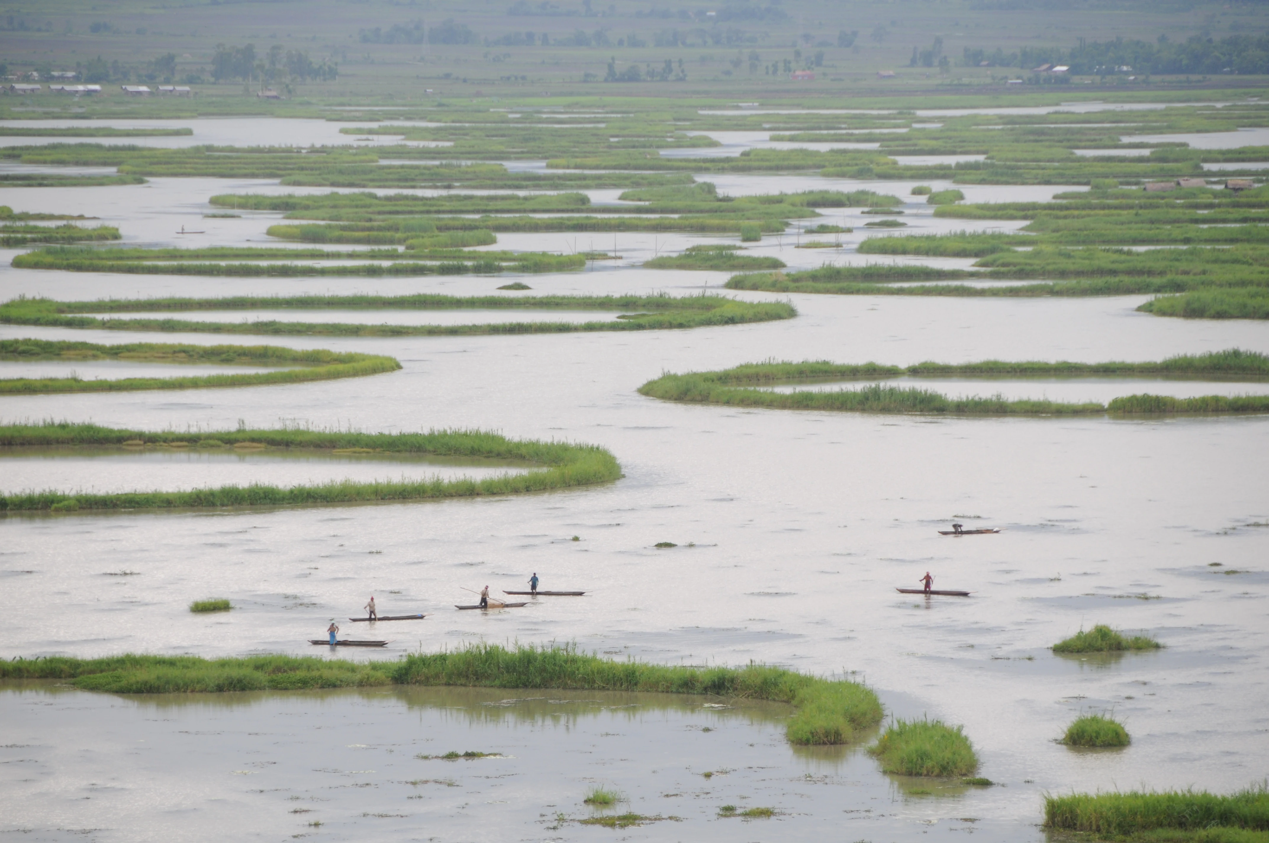 An elevated, wide-angle view of Loktak Lake in India, showing numerous small fishing boats among unique, circular floating patches of green vegetation called phumdis.