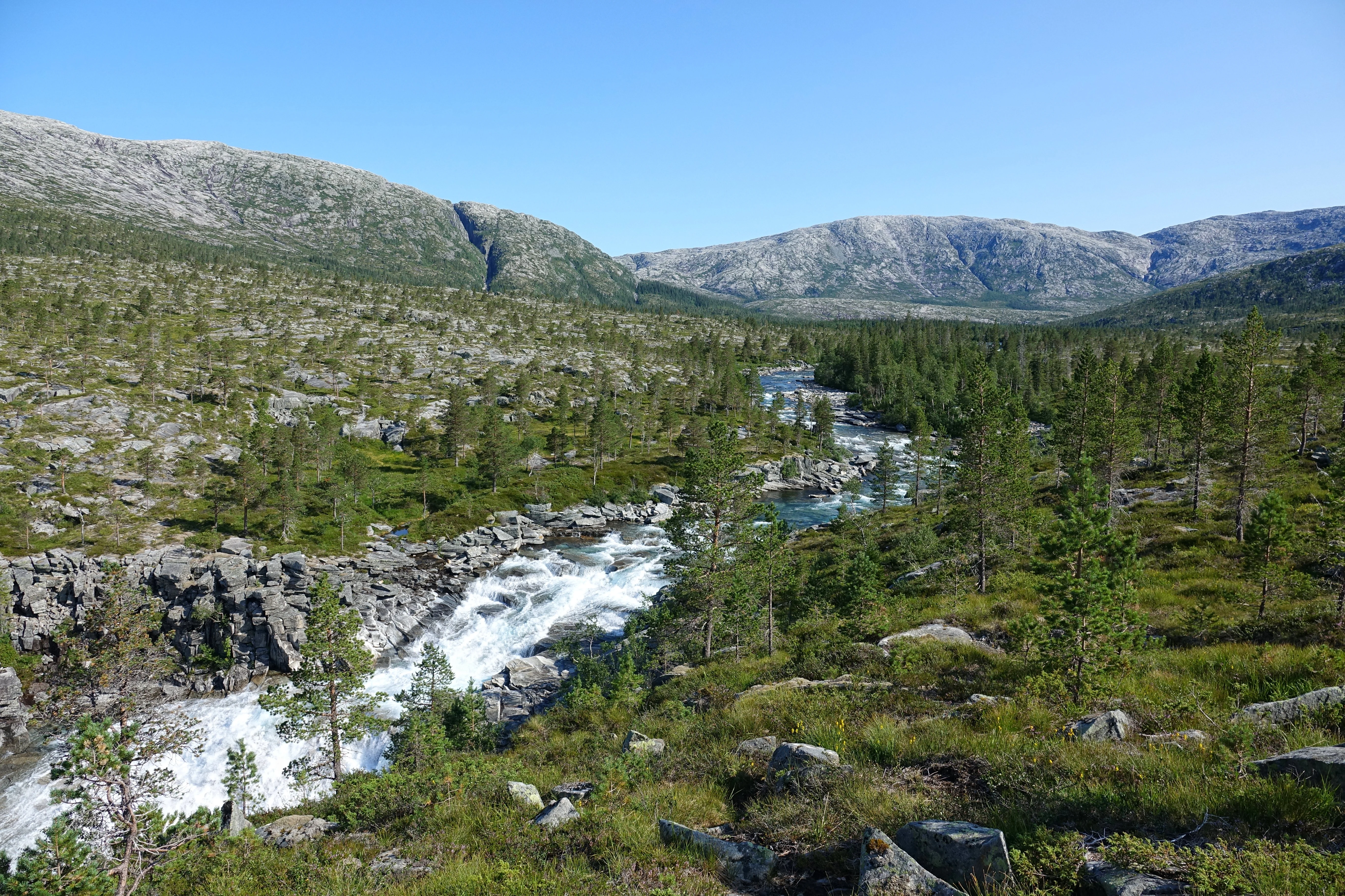 A wide view of a river with rapids flowing through a valley surrounded by mountains and forest under a clear blue sky