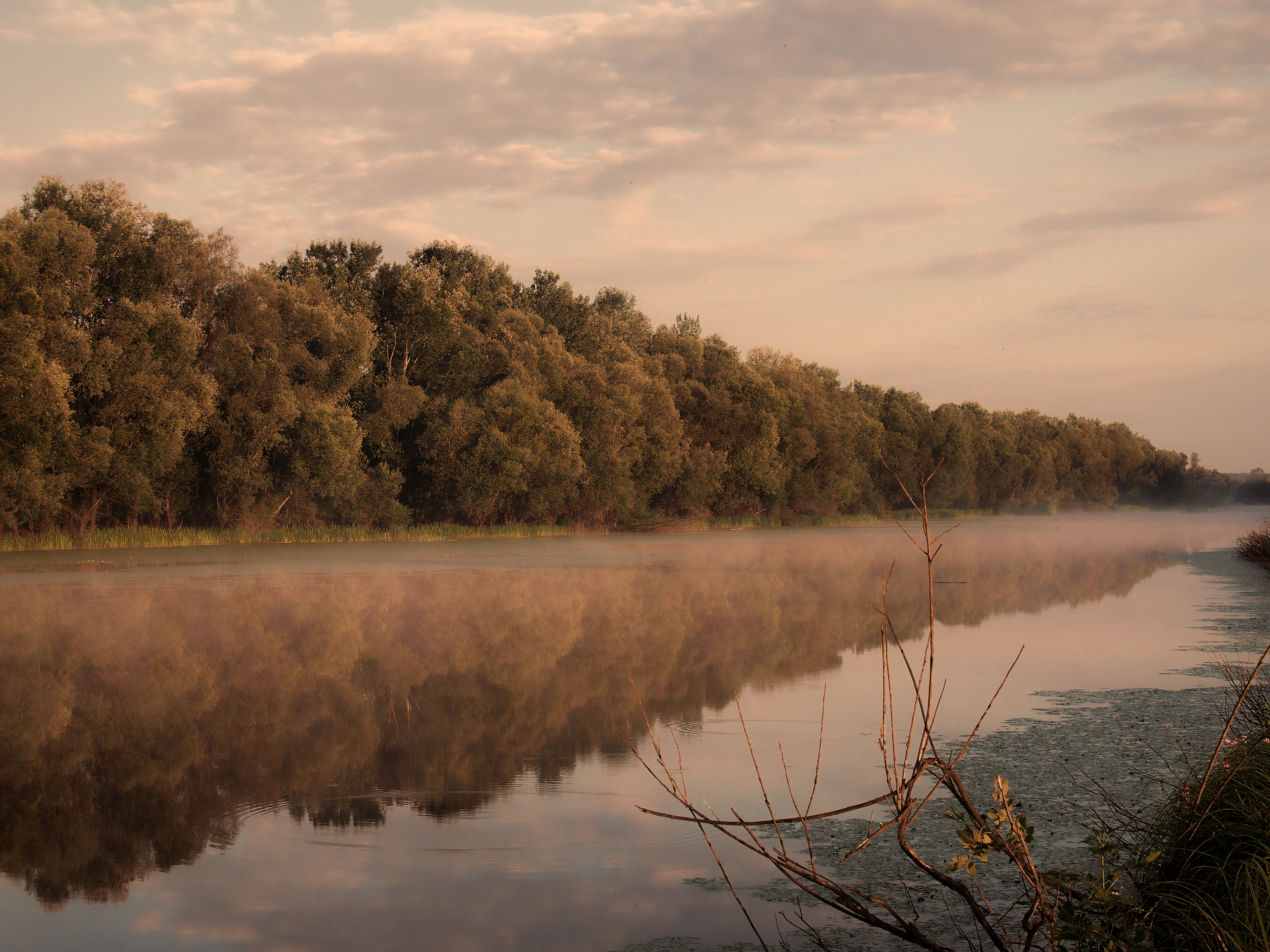 River with mist and reflection of trees on calm water, forested shoreline, and cloudy sky