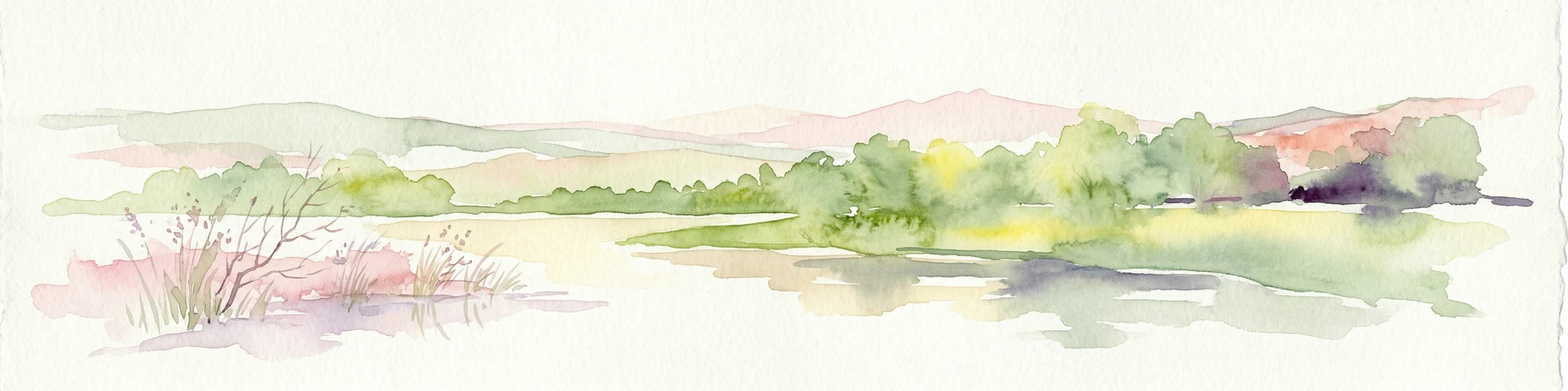 Ilustración en acuarela de un humedal con río, árboles y colinas a lo lejos