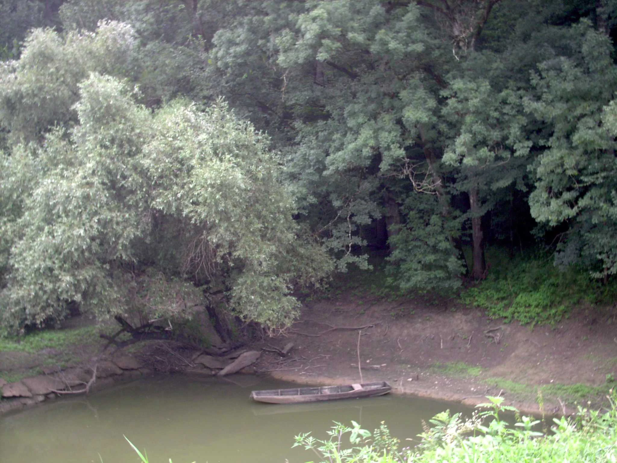 A calm river with a small boat anchored near a forested bank, surrounded by dense green trees and vegetation