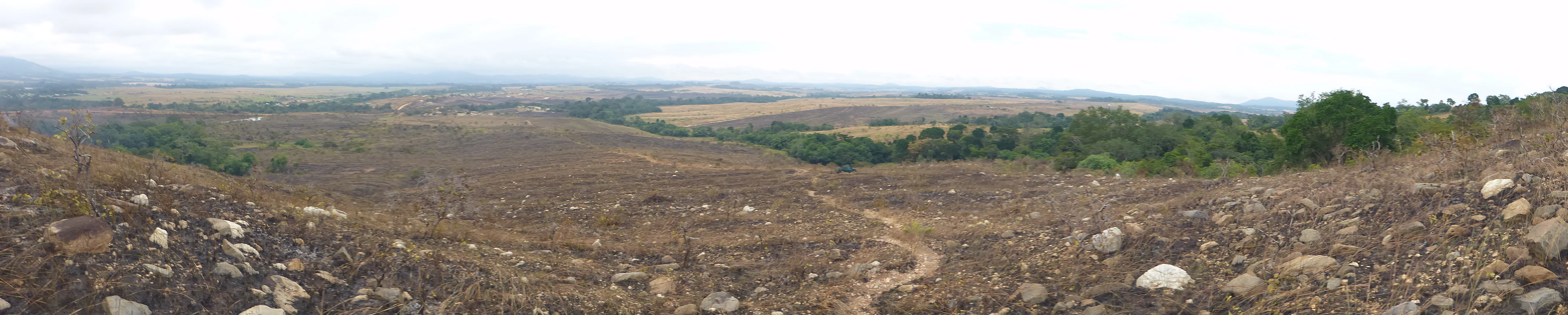 Wide panoramic view of Lopé National Park with burnt terrain, rocky foreground, dirt path, and distant green forest under overcast sky