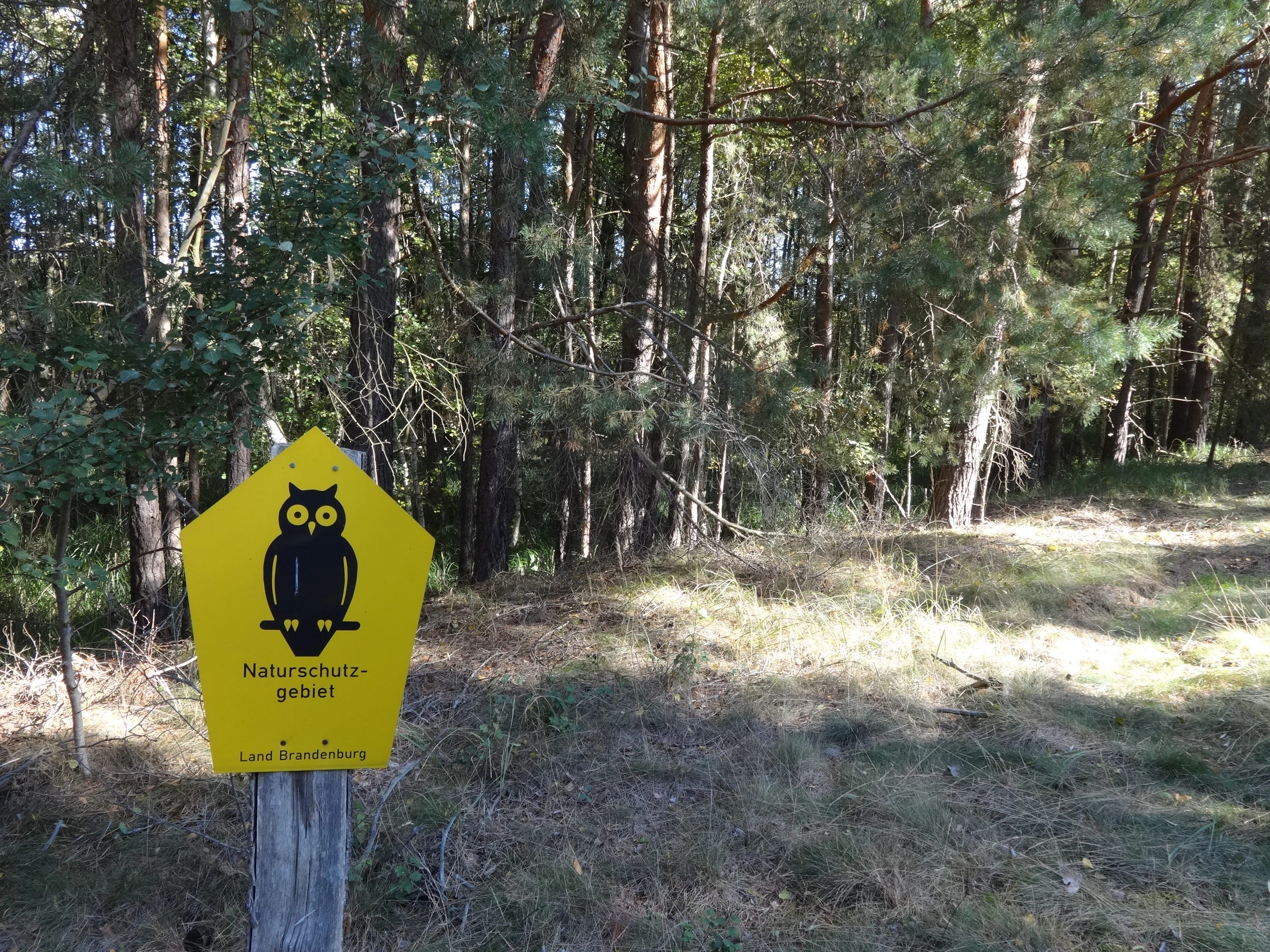 A yellow pentagonal sign with a black owl symbol and text indicating a nature reserve, posted in a forested area in Brandenburg, Germany.