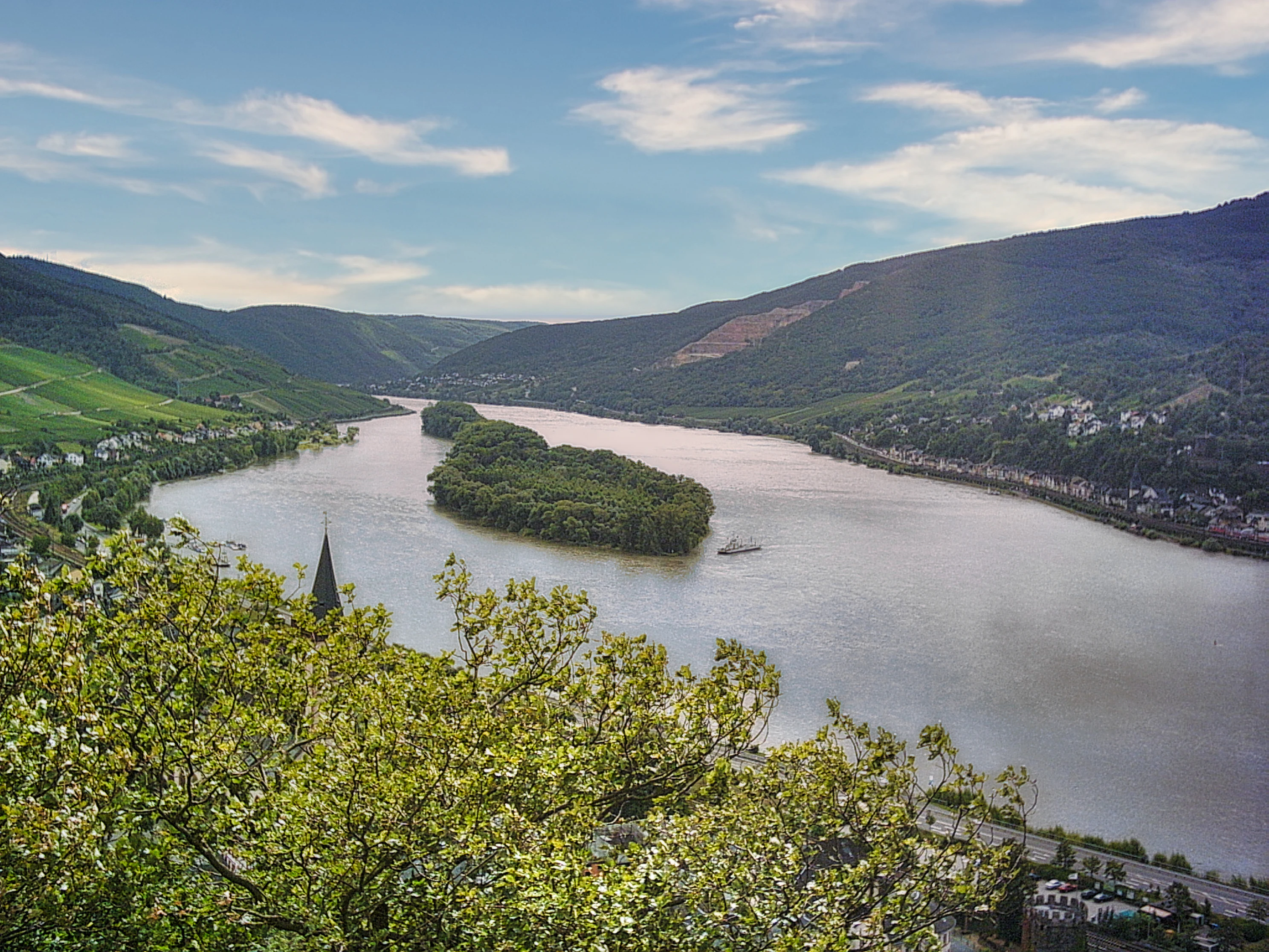 A wide angle landscape view overlooking the Rhine River, featuring the wooded island of Lorcher Werth in the middle of the river, surrounded by hills and green slopes.