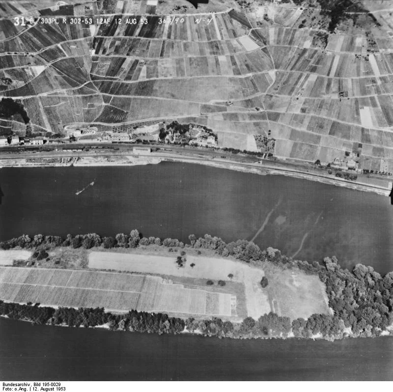 A black and white aerial photograph showing the Rhine River with a forested island in the foreground and agricultural fields on the mainland bank.