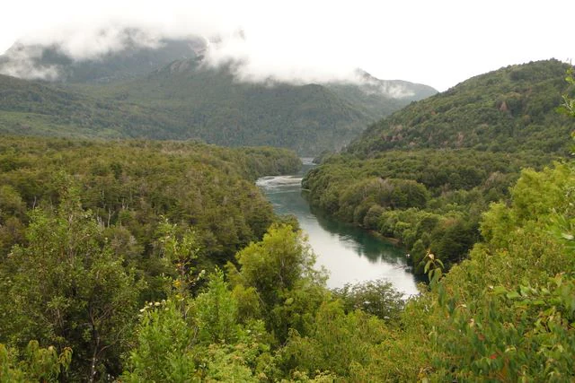 Wide landscape view of a winding river flowing through lush green forest with mountain peaks partially covered by low-lying clouds in the background