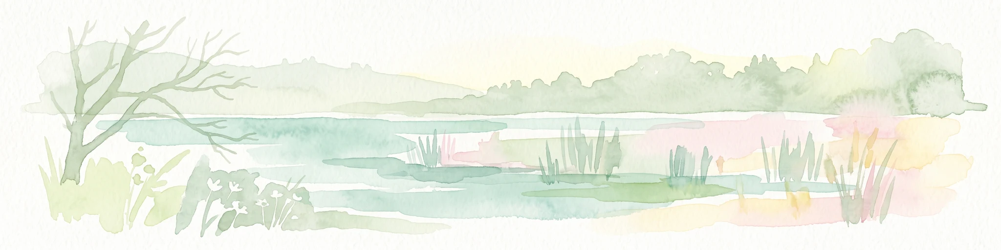 Ilustración suave en acuarela de una escena tranquila de humedal pantanoso con juncos, un árbol solitario y desnudo a la izquierda y una suave línea de bosque al fondo.