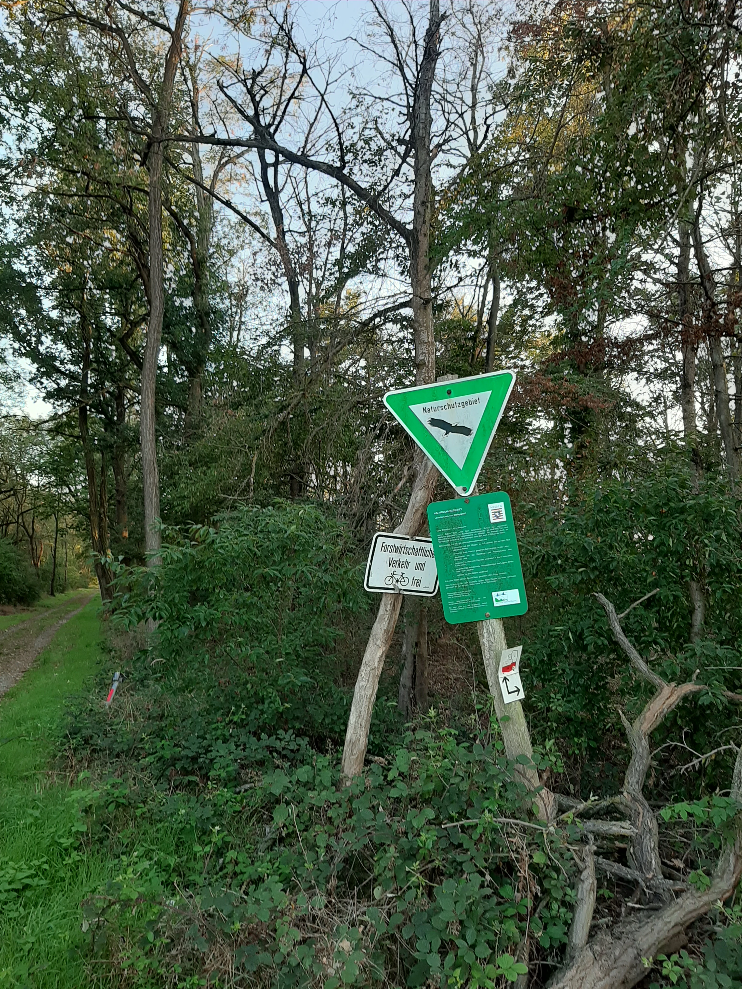 A green triangle nature reserve sign featuring an eagle icon, accompanied by additional information signs mounted on wooden posts in a wooded area.