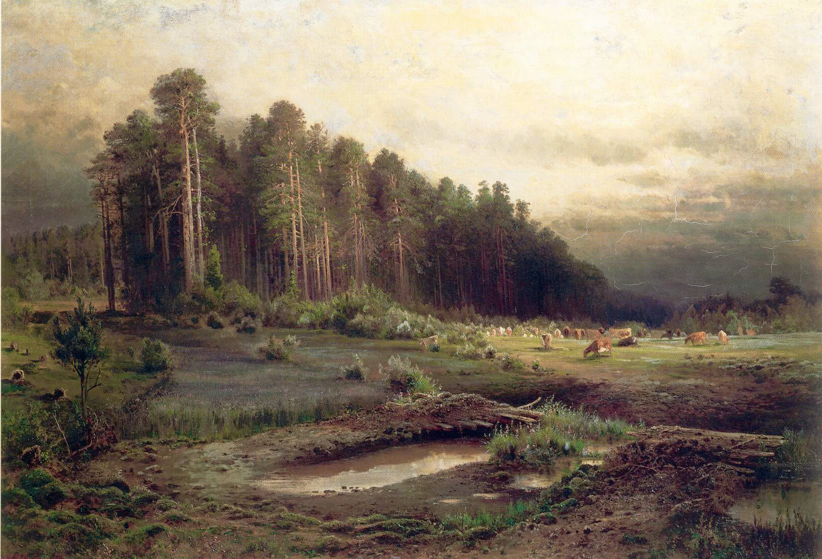 Un paisaje que muestra el borde de un bosque de pinos denso junto a un claro pantanoso con charcos y varios alces pastando en la distancia bajo un cielo nublado.