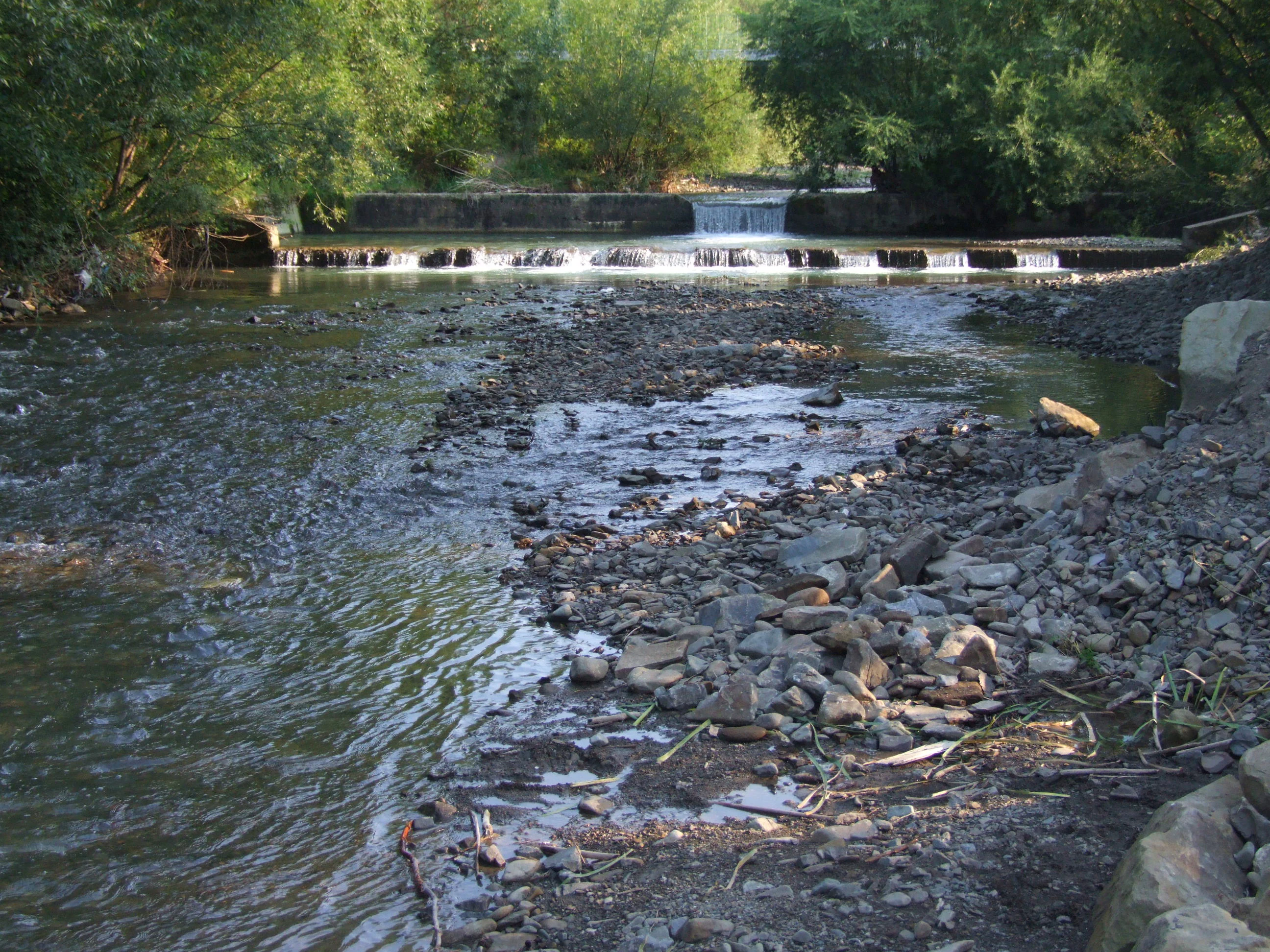 A small river with rocky banks flowing toward a low concrete weir under tree cover.