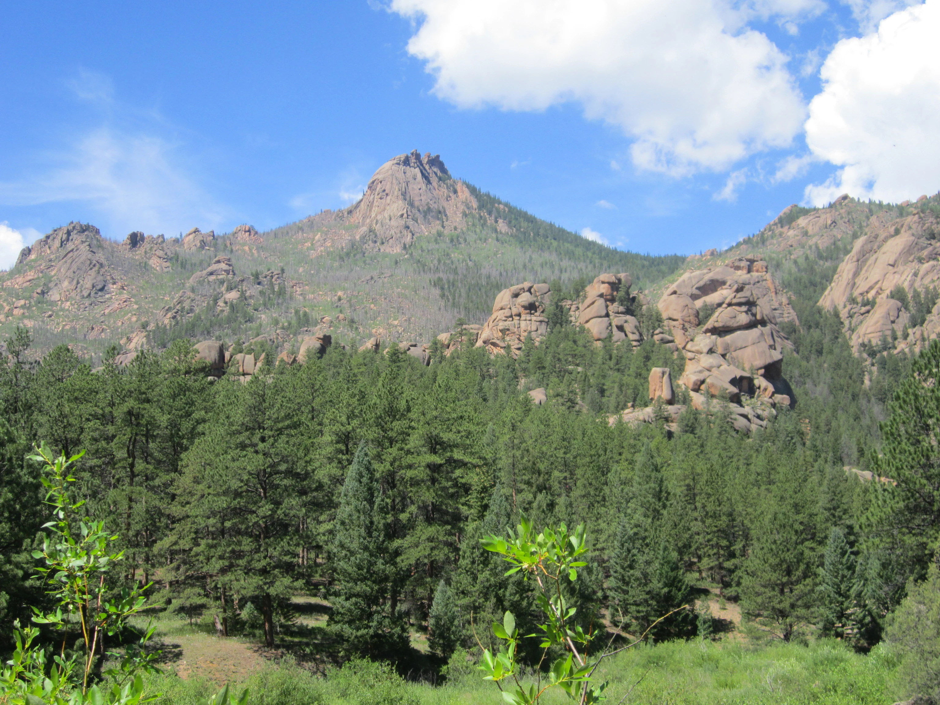 A wide view of granite mountain peaks with prominent rock formations, set against a blue sky with scattered clouds, overlooking a dense pine forest.