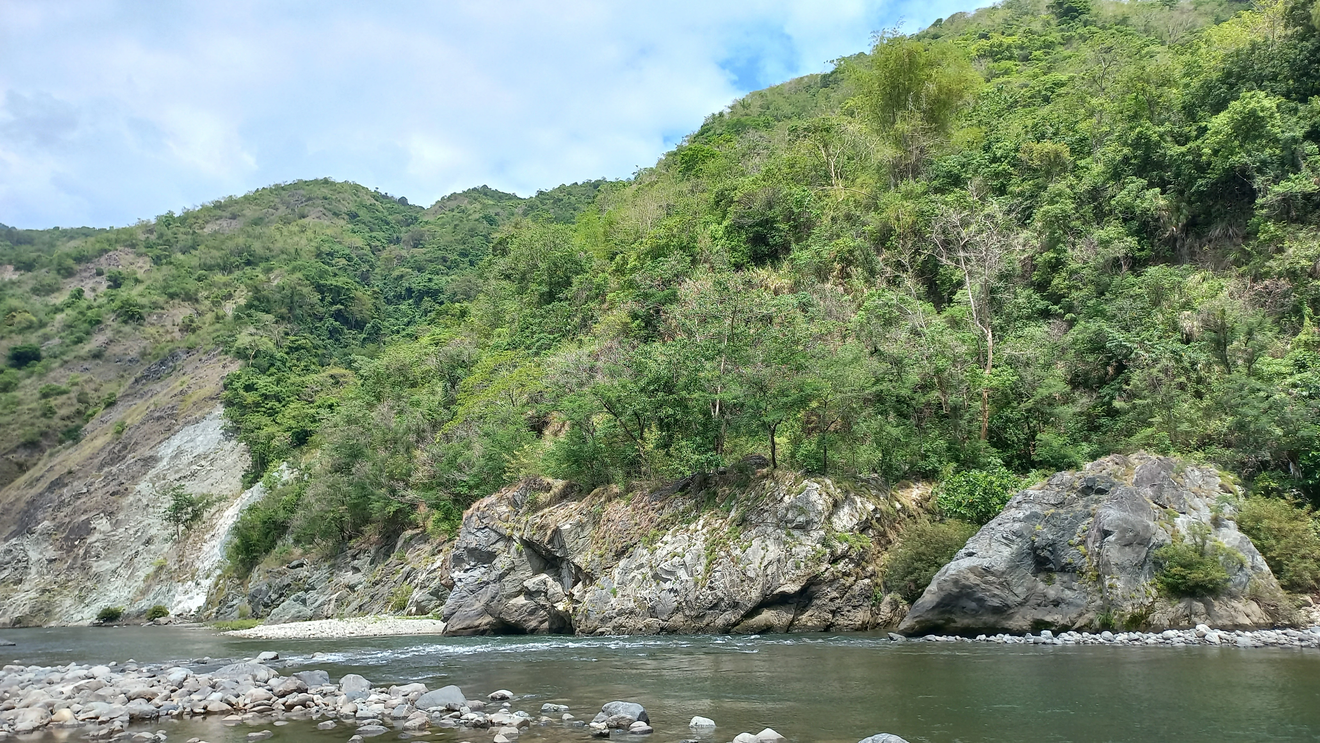 A view of a river with rocky schist outcrops covered in vegetation rising from the water, backed by a lush, green mountain slope.