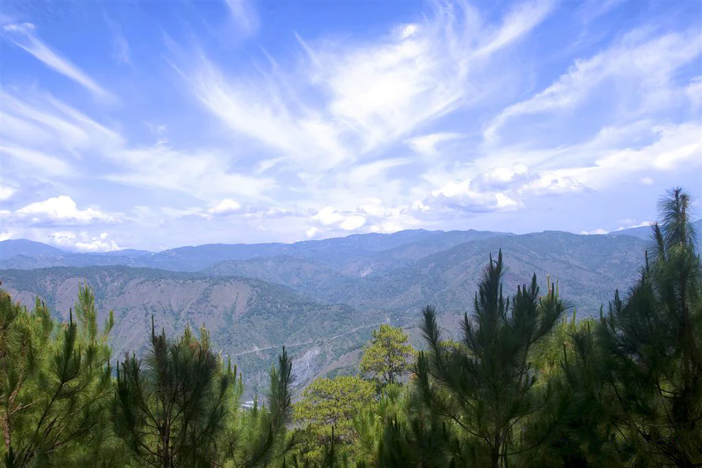 A wide scenic view of distant mountain ridges in the Philippines with pine trees in the foreground under a bright blue sky with wispy clouds.