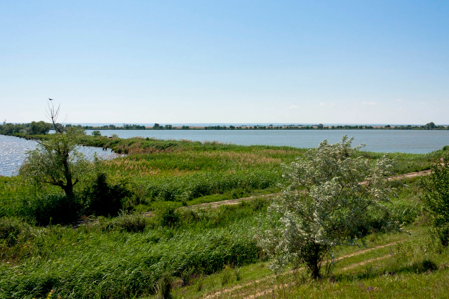 Wide landscape view of the Lower Dniester River floodplains with grassy vegetation, scattered trees, and a calm river under a clear blue sky