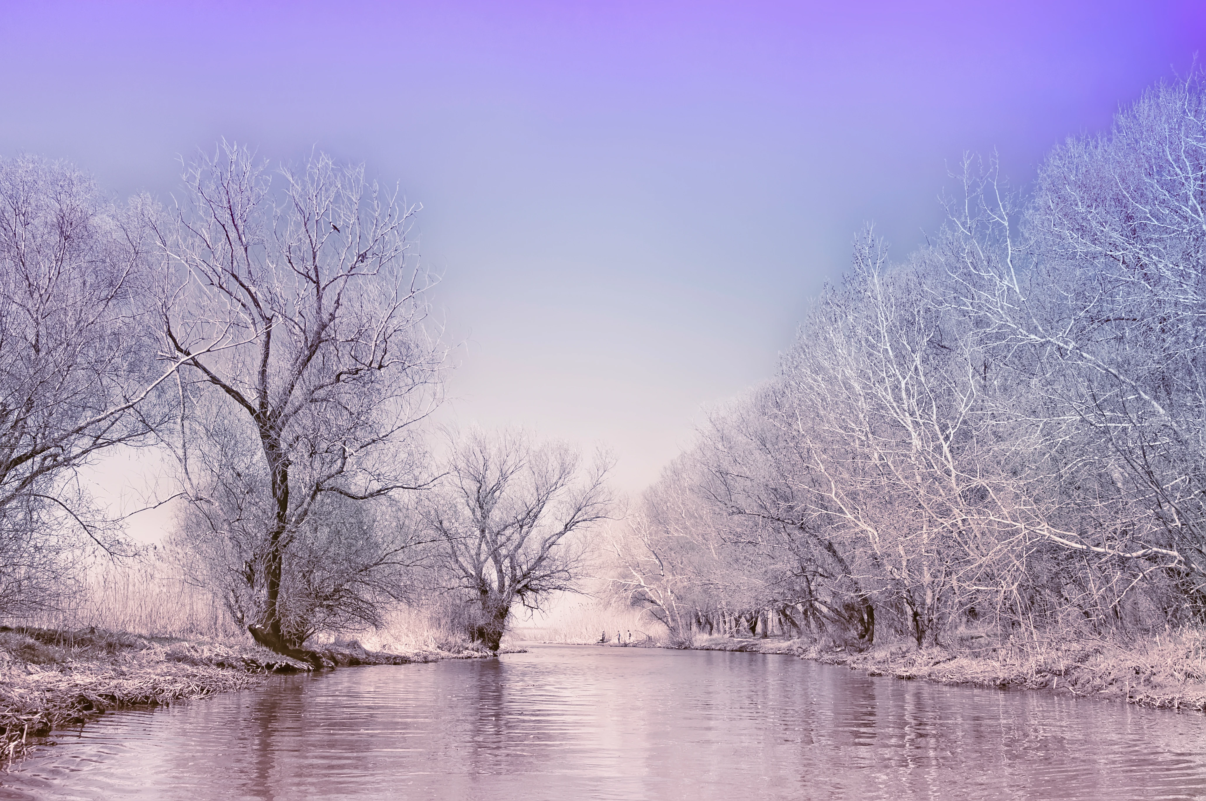 Frosted trees line a calm river at sunrise with a purple and blue sky