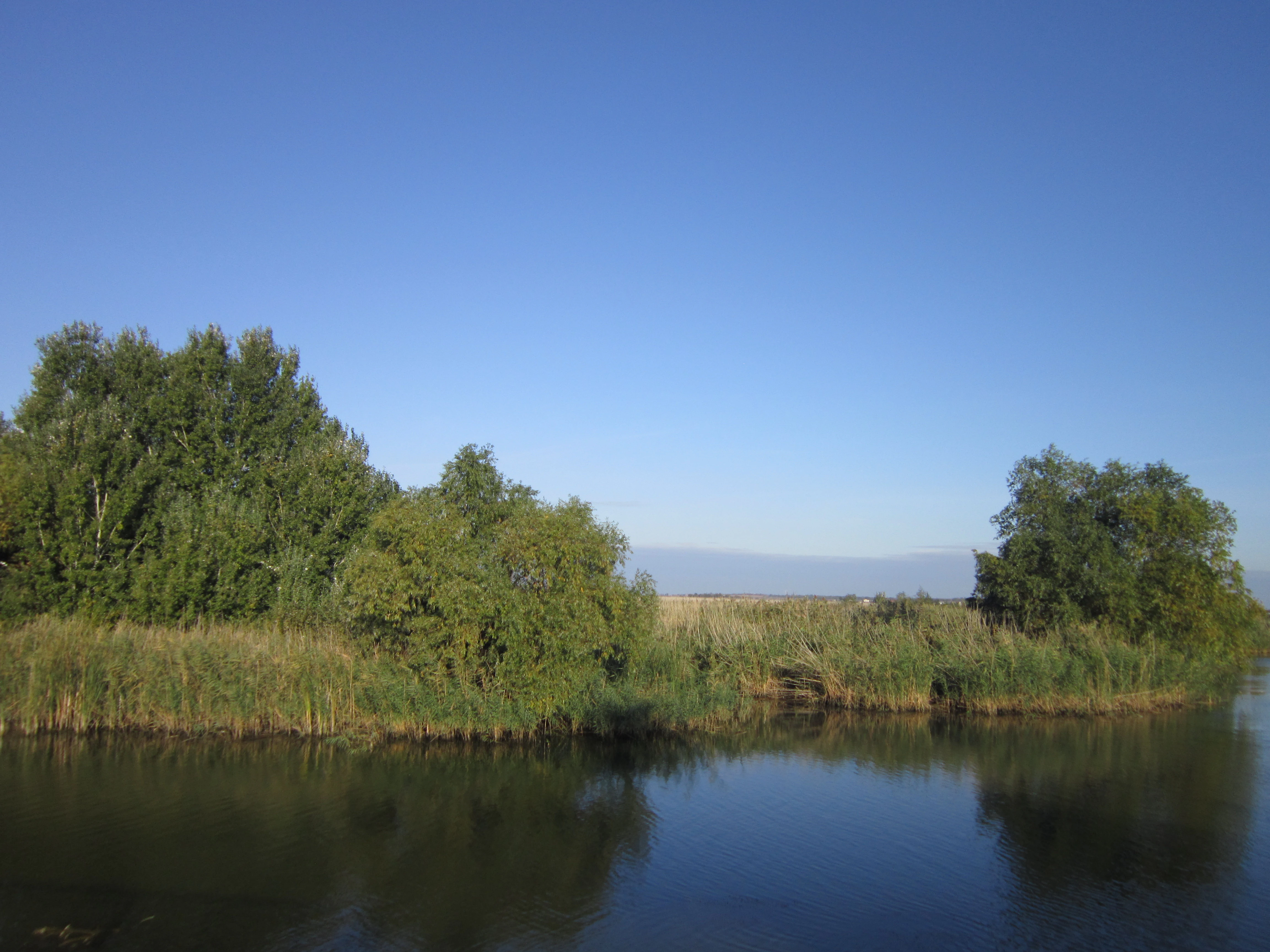 River with calm water reflecting trees and reeds, clear blue sky