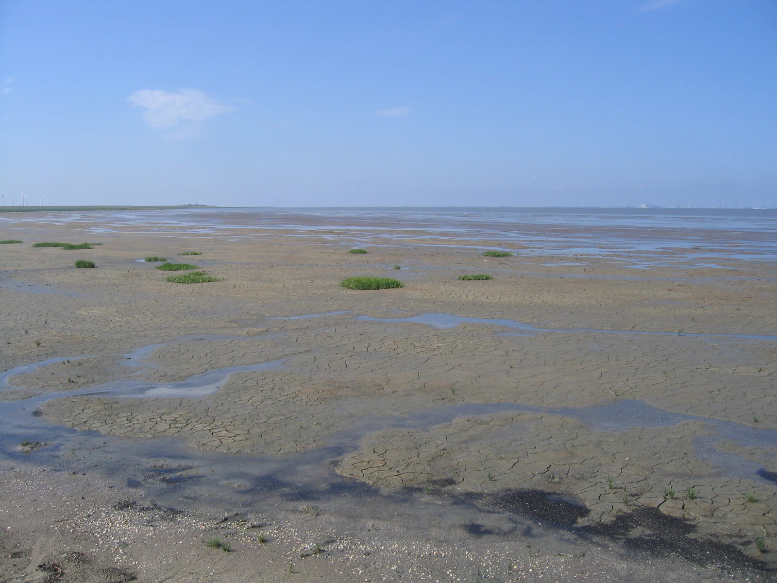 Wide expanse of tidal flats with shallow pools of water, patches of green vegetation, and clear blue sky.