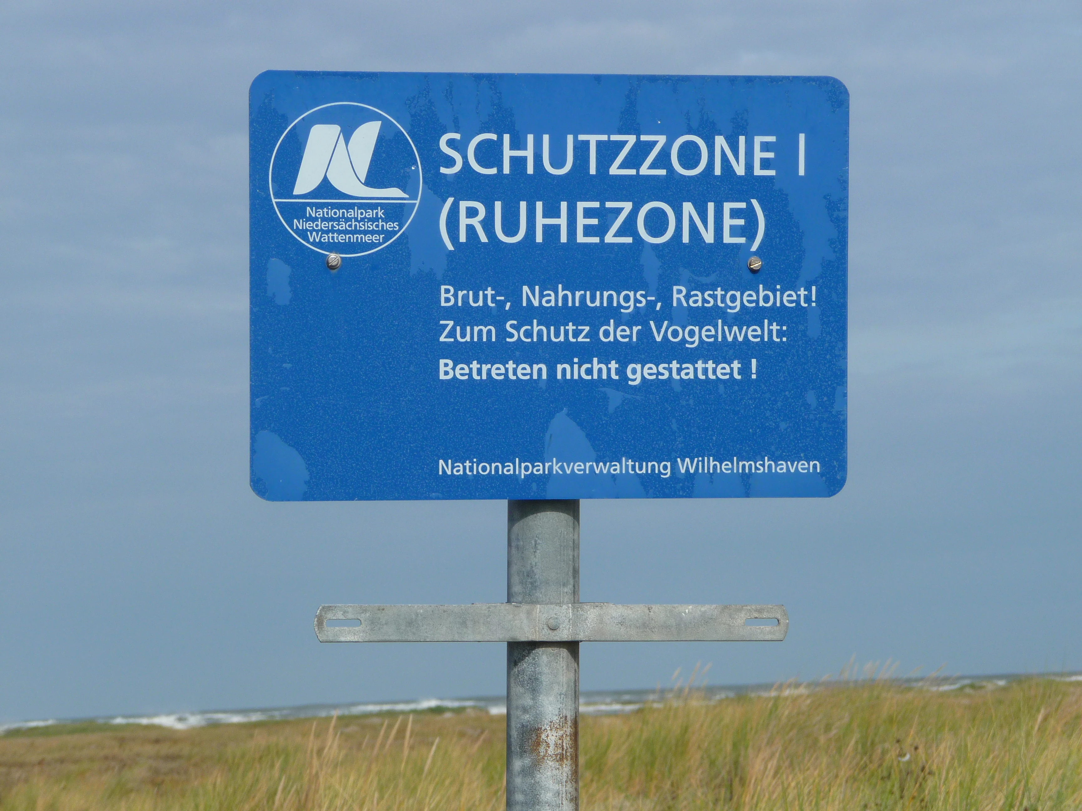 Blue sign with white text reading 'SCHUTZZONE I (RUHEZONE)', German instructions for bird protection, and 'Nationalparkverwaltung Wilhelmshaven' at bottom, mounted on metal pole with grassy field and sky in background