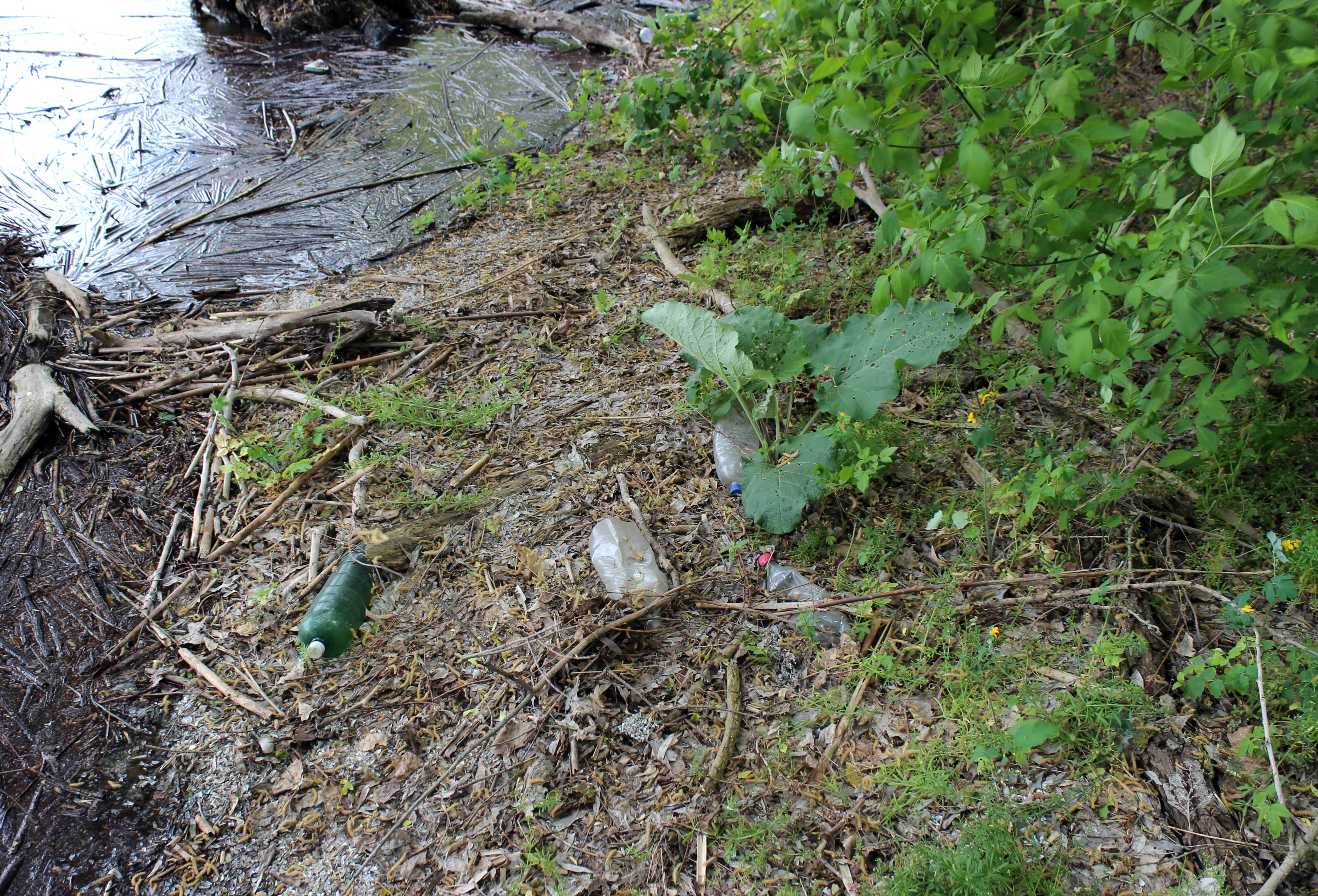 Scattered plastic bottles and debris on a muddy riverbank with sparse vegetation and water in the background