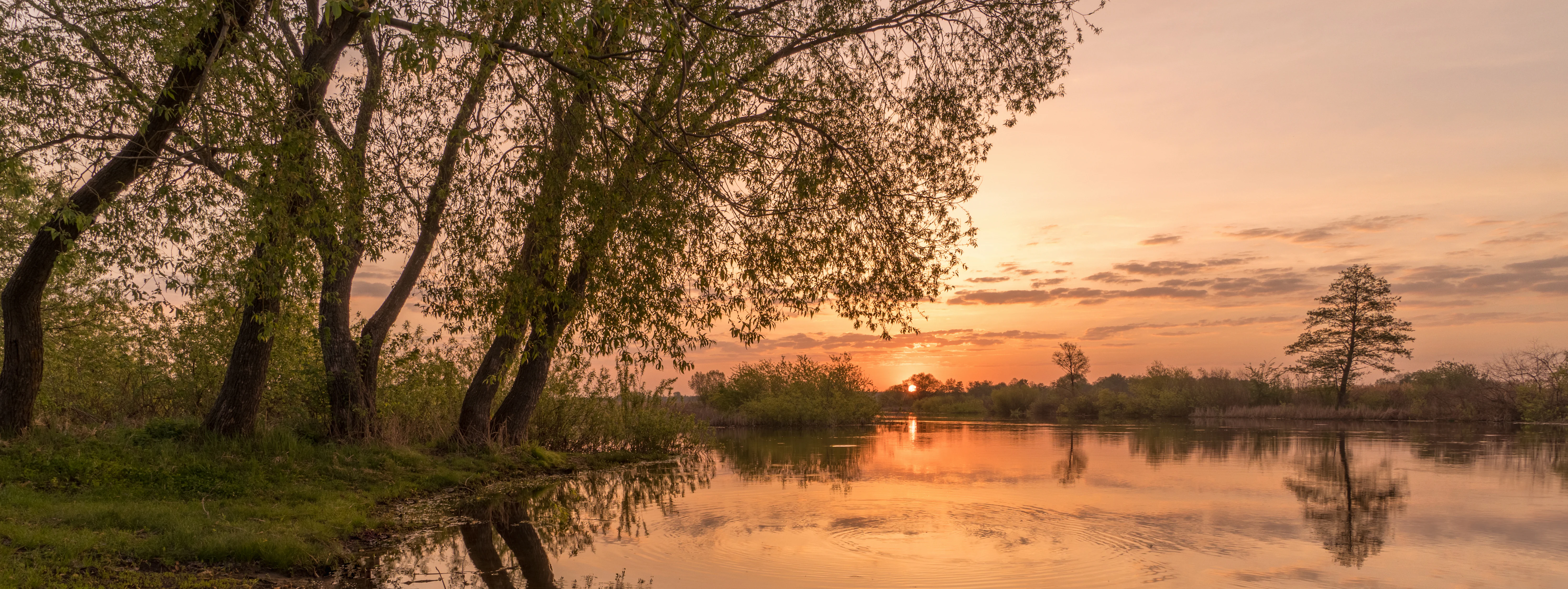 Dawn scene with a river reflecting the sunrise, trees along the riverbank, and a distant tree in the water