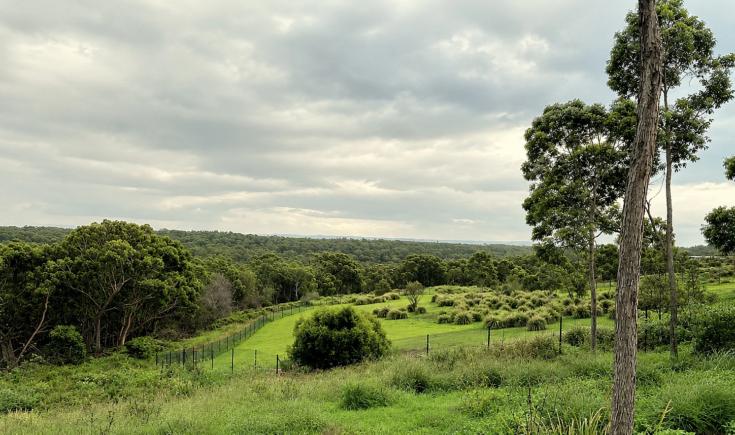An elevated landscape view of a green, grassy meadow framed by scattered bushes and native trees under a cloudy sky.