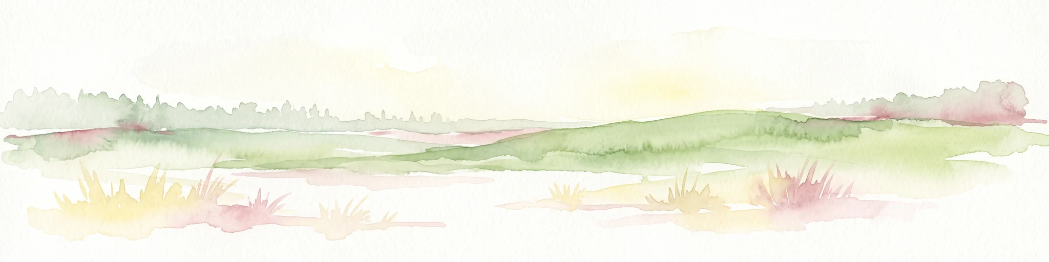Watercolor painting of a low-lying, marshy landscape with soft green meadows and sparse vegetation against a white background.