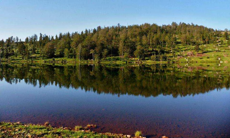 A still lake reflecting dense forest and hills under a clear blue sky