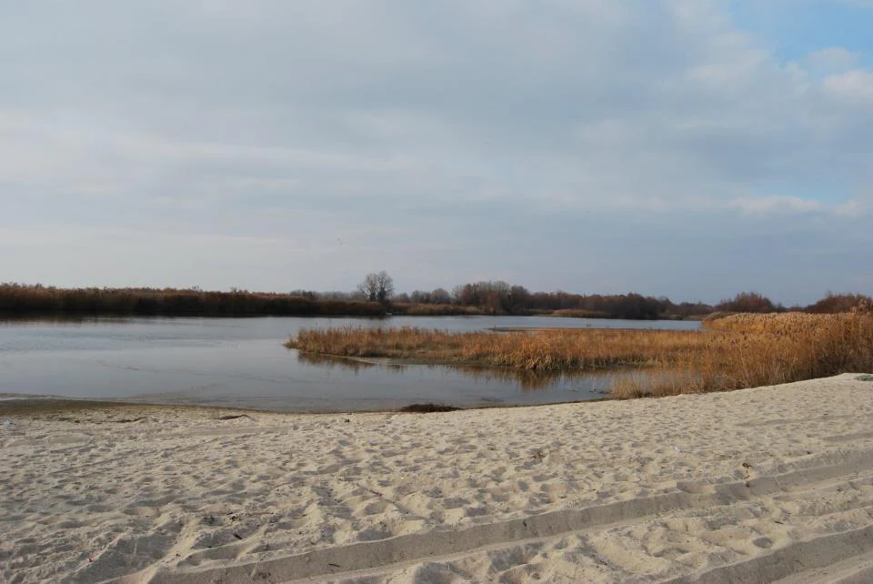 A wide view of the Nestos River delta featuring sandy shores in the foreground and golden reeds along the calm water under a cloudy sky.