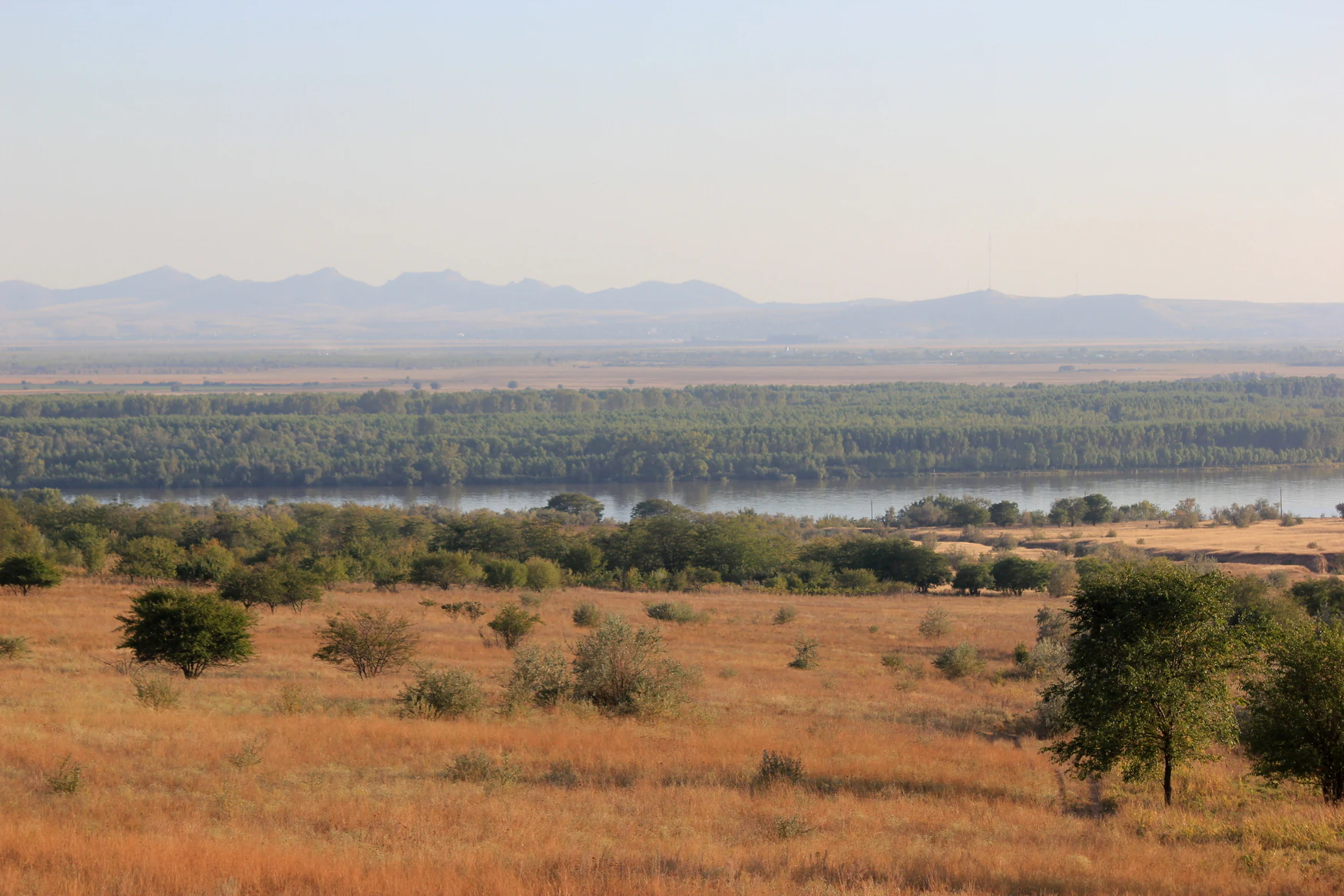 Wide landscape showing golden-brown grassy plains in the foreground, scattered trees and shrubs, a river in the midground, forested area beyond the river, and mountain range in the background under a clear sky