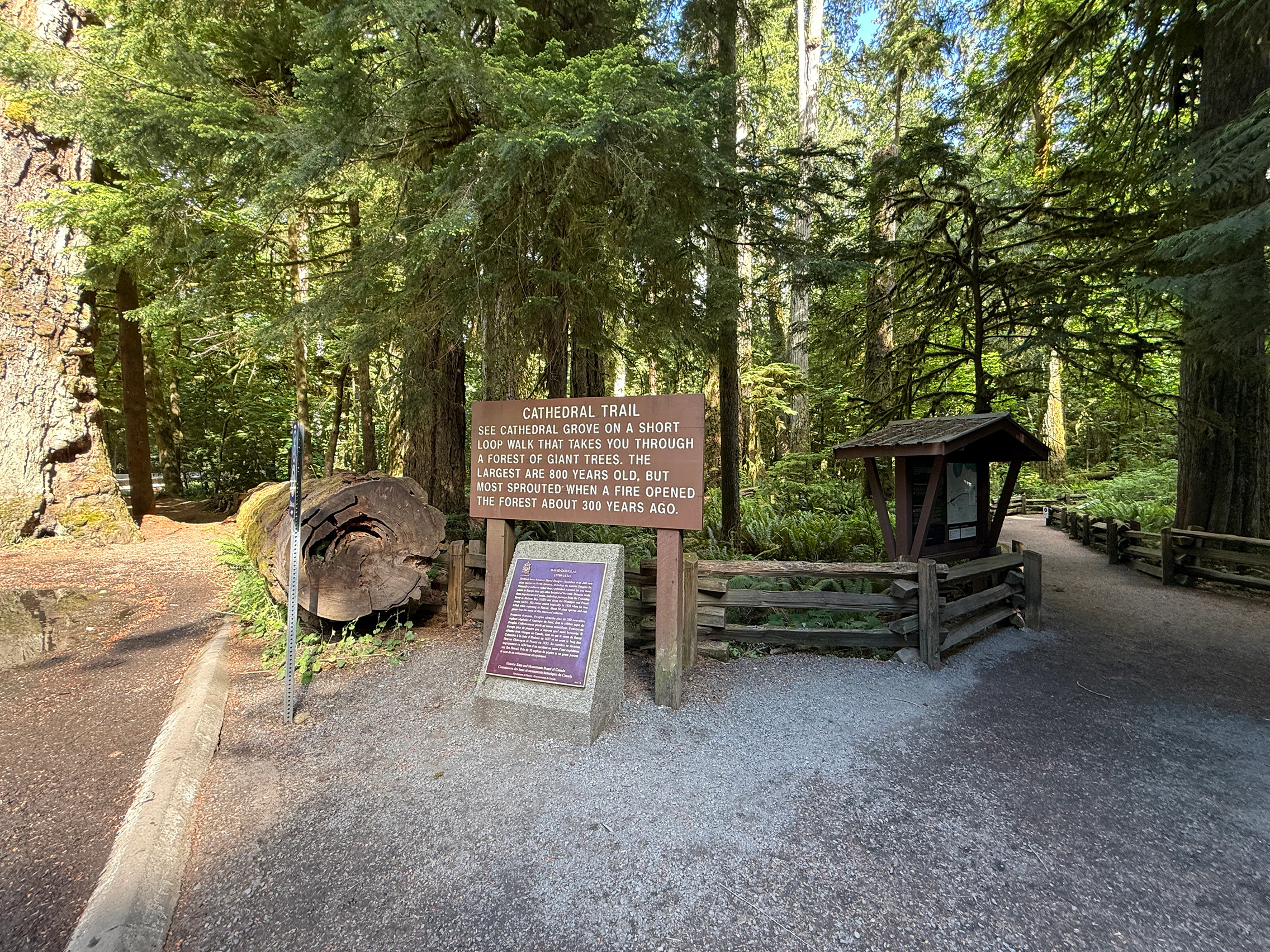 A brown information sign titled Cathedral Trail stands in a forest, with a smaller plaque below and a dirt path leading into the trees.