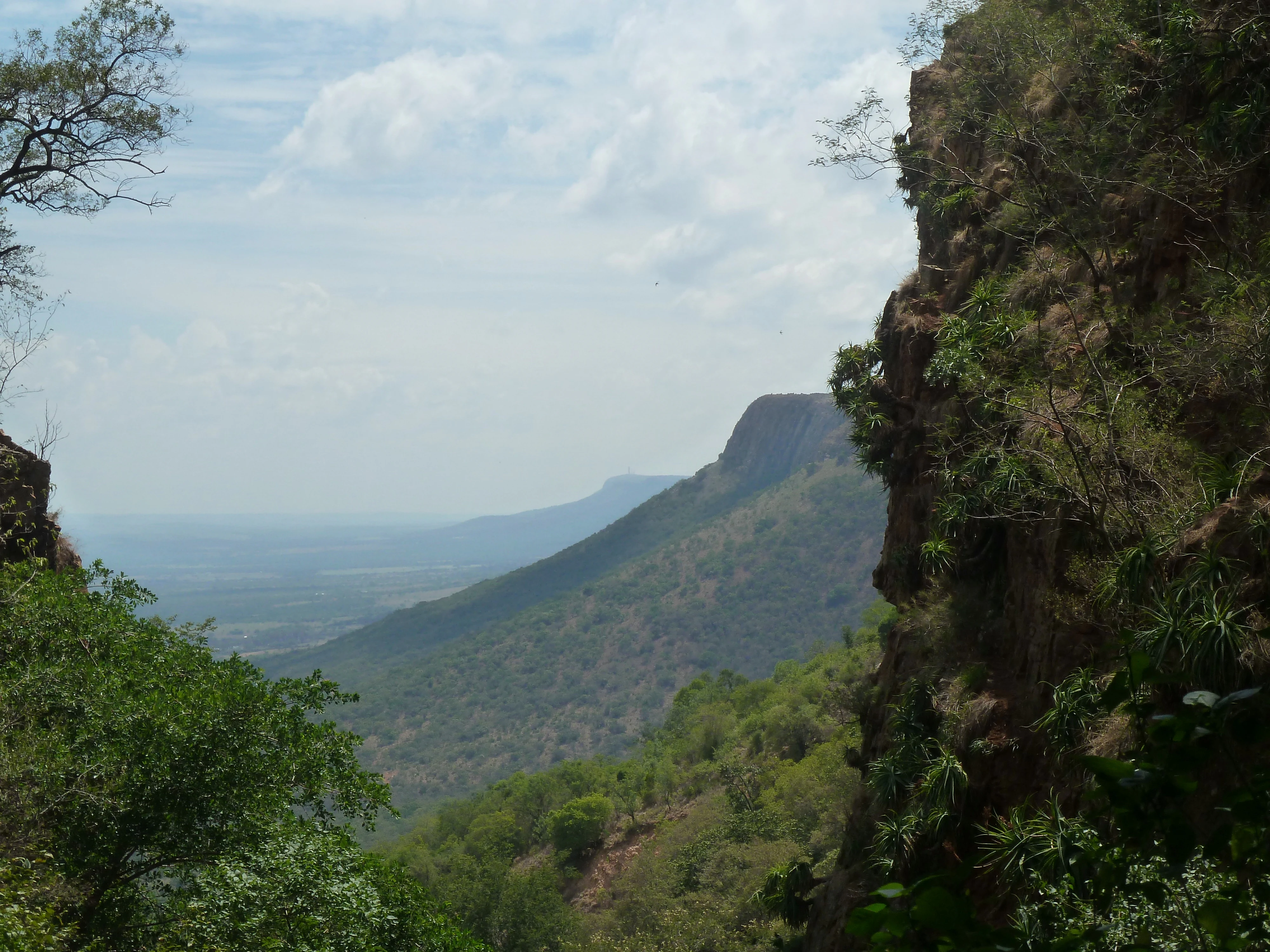 A wide view of the Magaliesberg mountain range in South Africa, framed by steep, rocky cliff faces on the sides and overlooking a valley covered in trees.