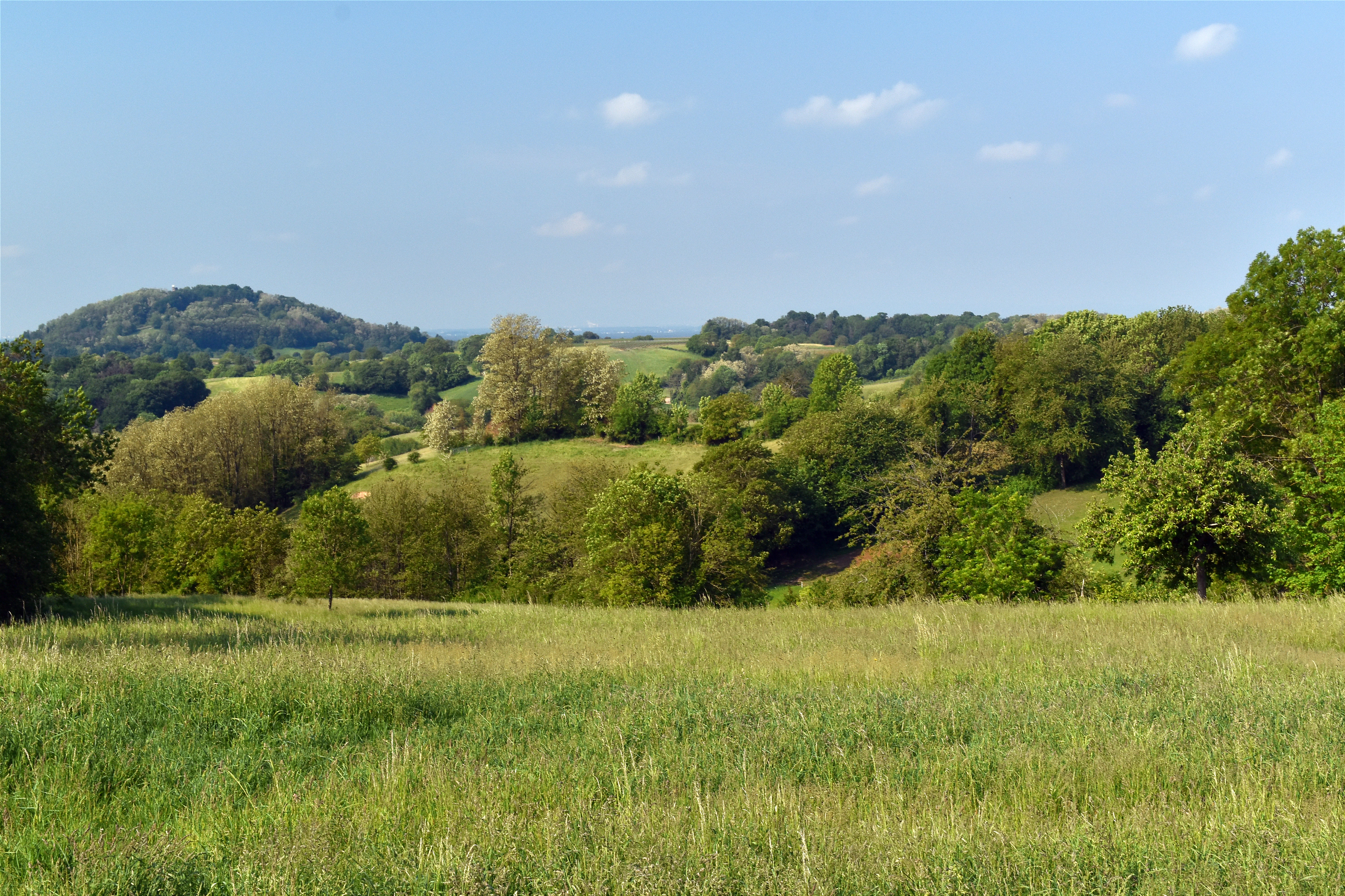 A wide landscape view of a green meadow in the foreground leading to rolling hills covered in forests and patches of grassland under a blue sky.
